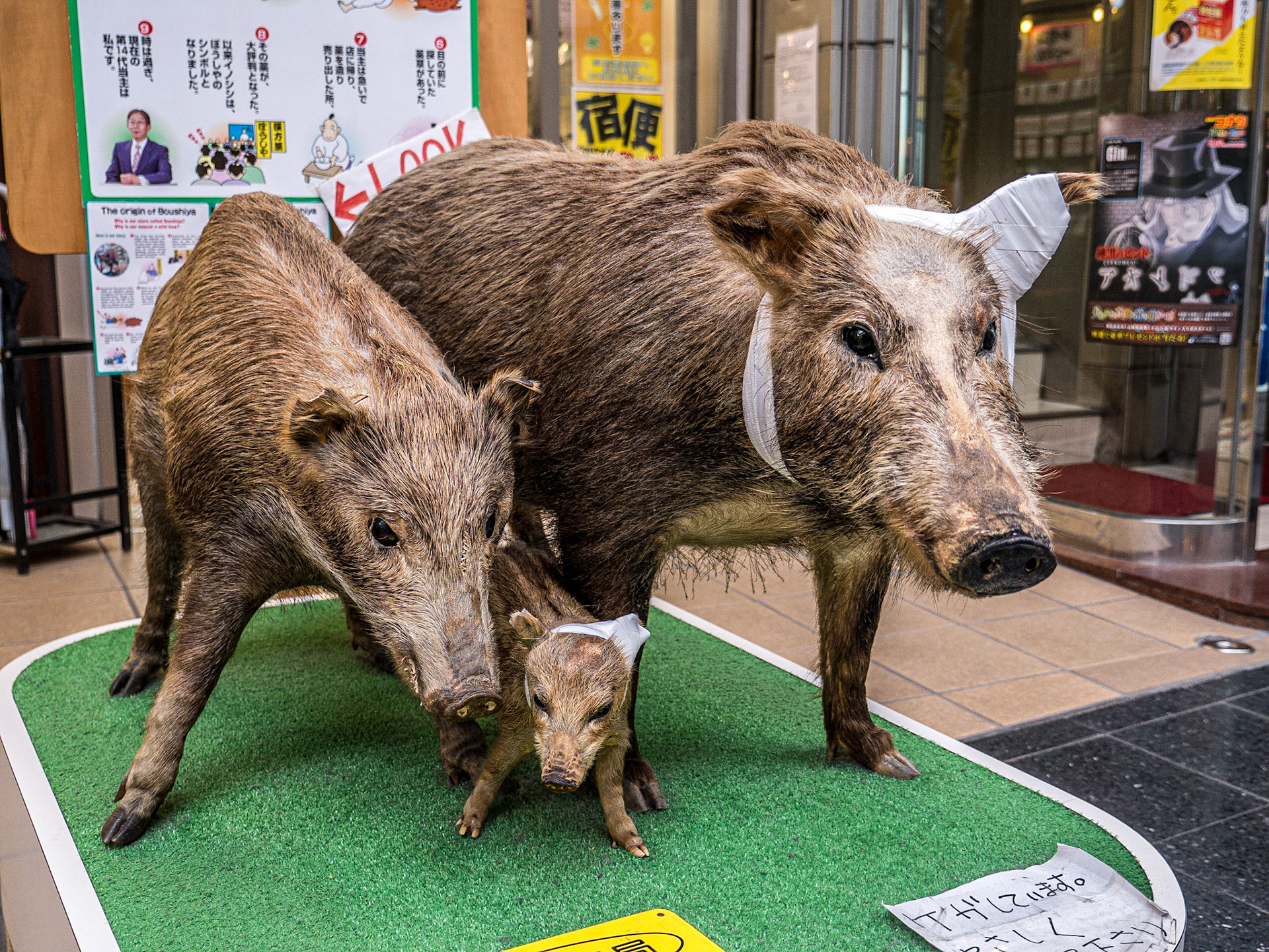 Outside a pharmacy, Himeji, 27 Apr 2016