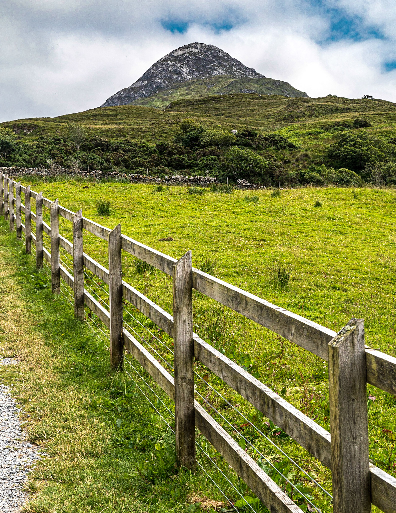 Connemara National Park, 30 Jun 2021