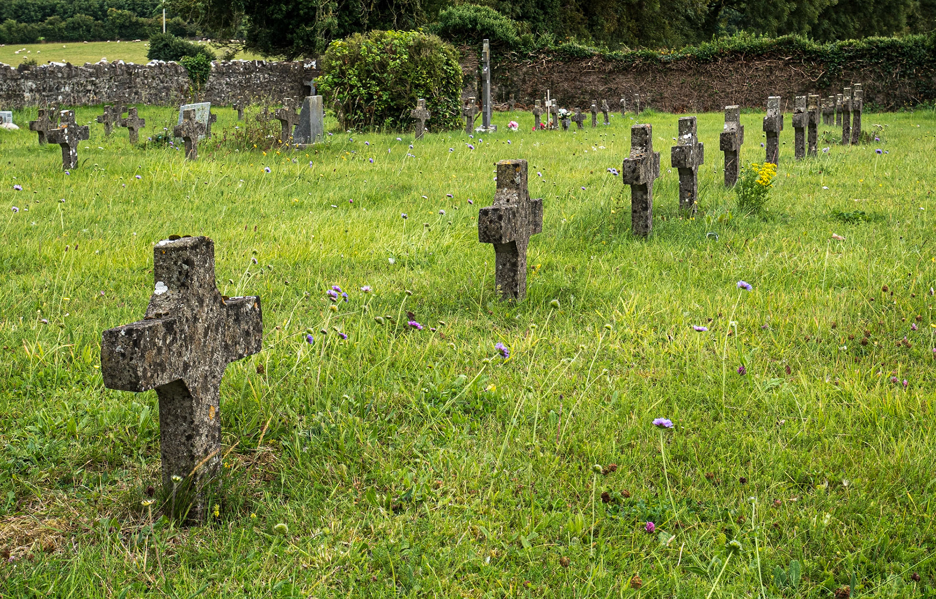 Crosspatrick Cemetery, Co Kildare, 16 Aug 2022