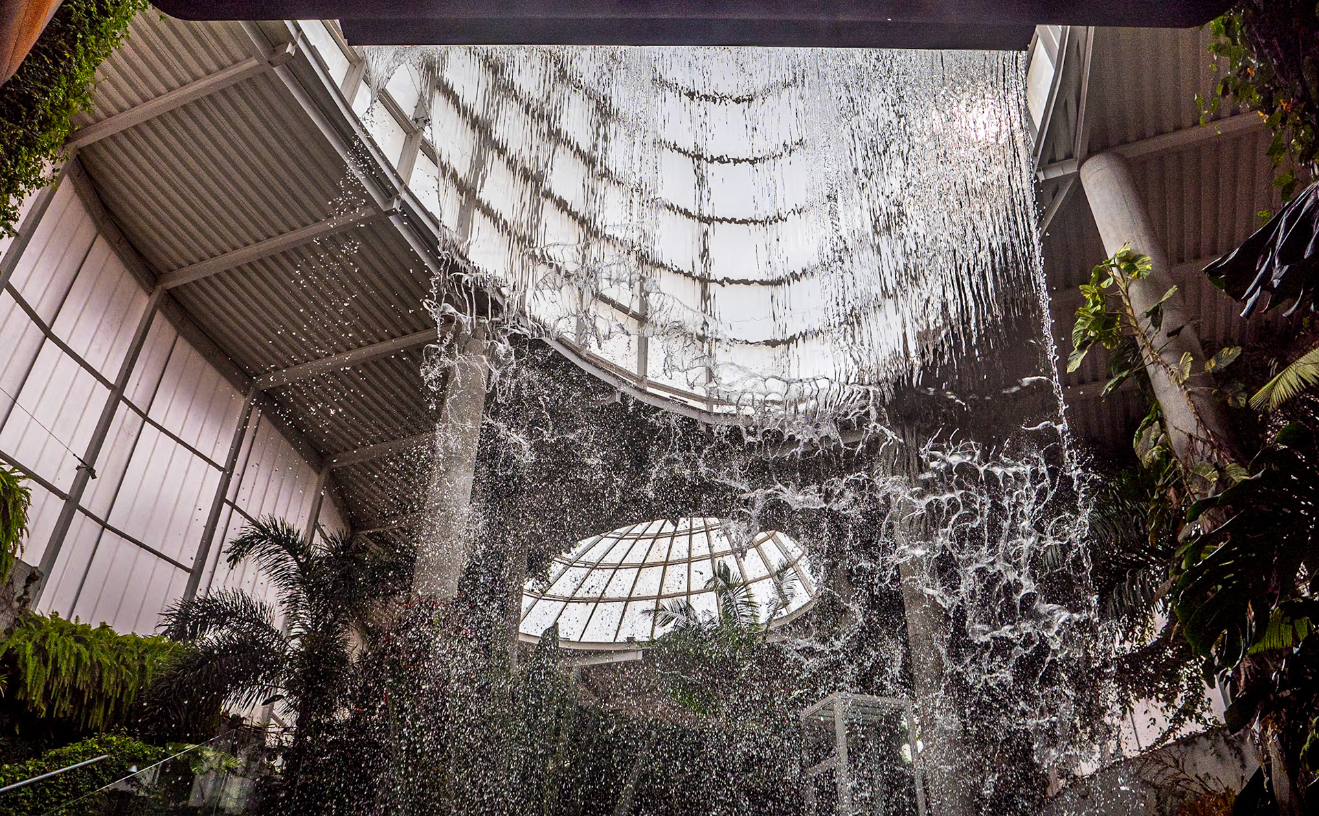 Estepona Orchid House, Spain, 23 Mar 2024