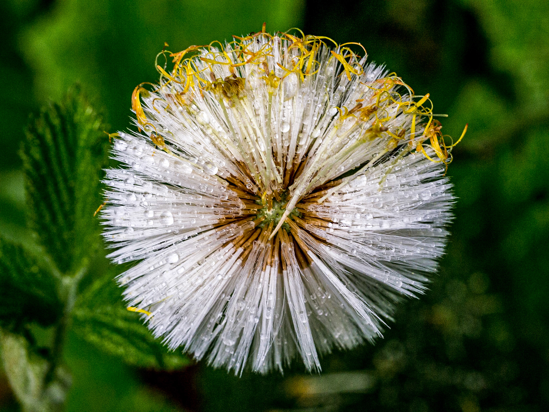 Near Blessington, Wicklow, 4 May 2014