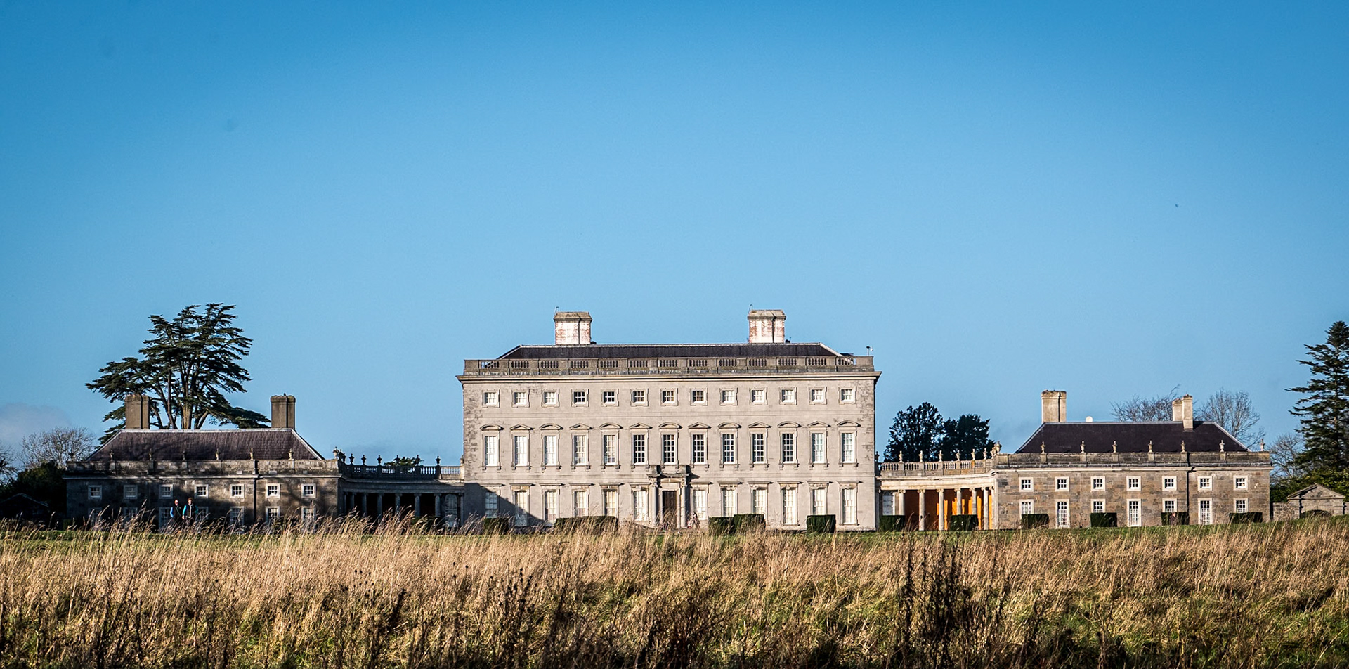 Castletown House, Co Kildare, 3 Jan 2016