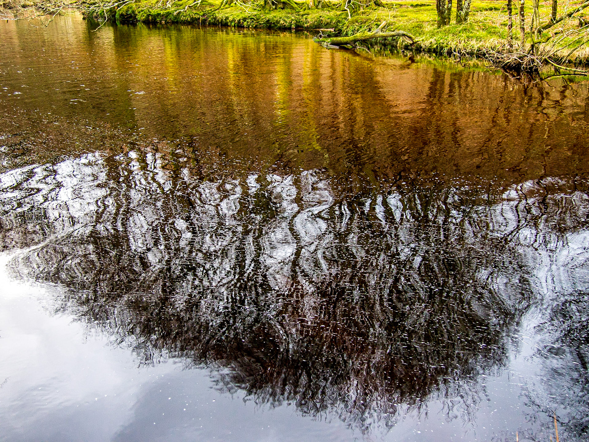 Near Lough Dan, Wicklow mountains, 9 Mar 2014