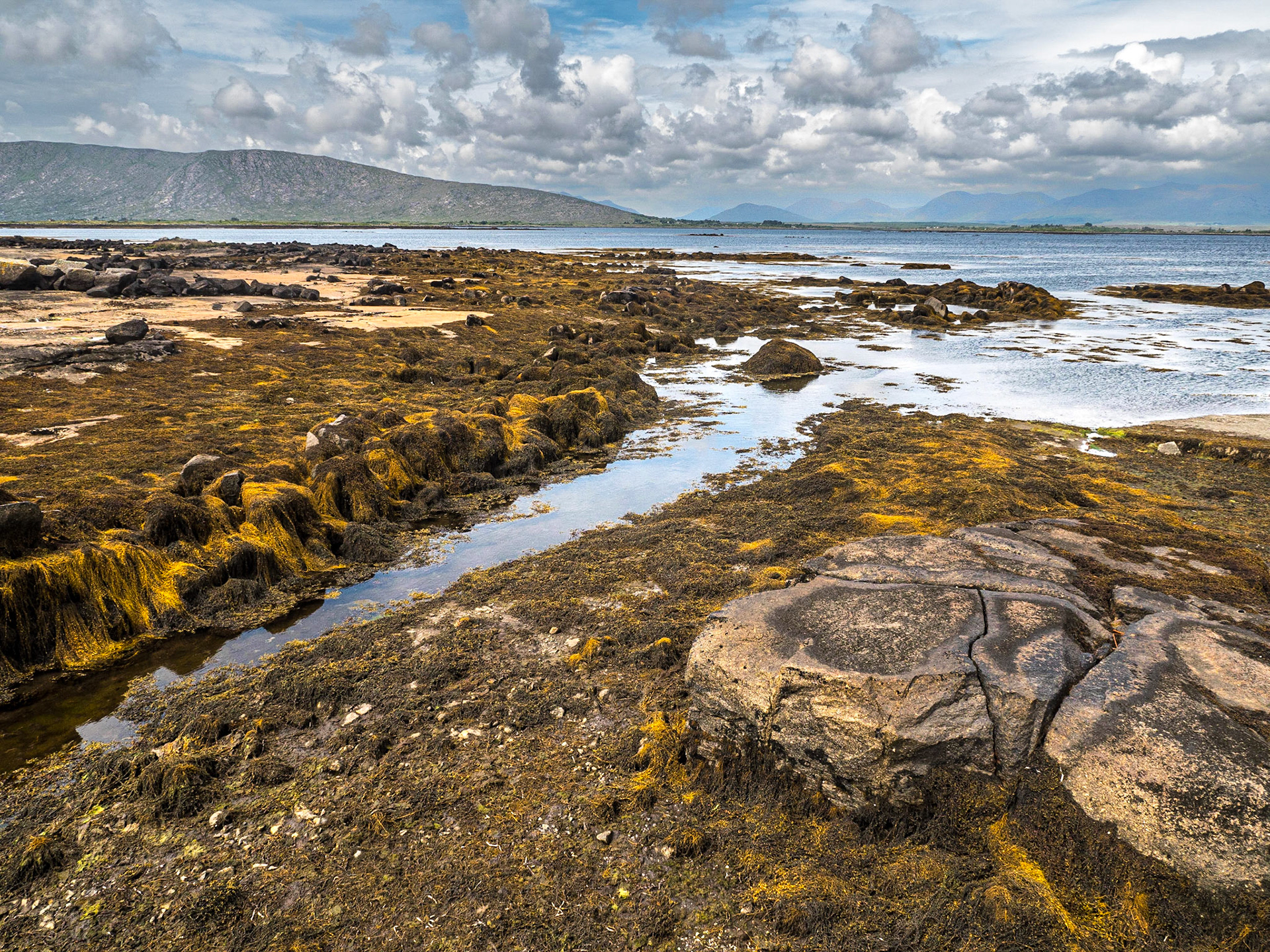 Rosmuc Peninsula, Co Galway, 14 Jun 2022