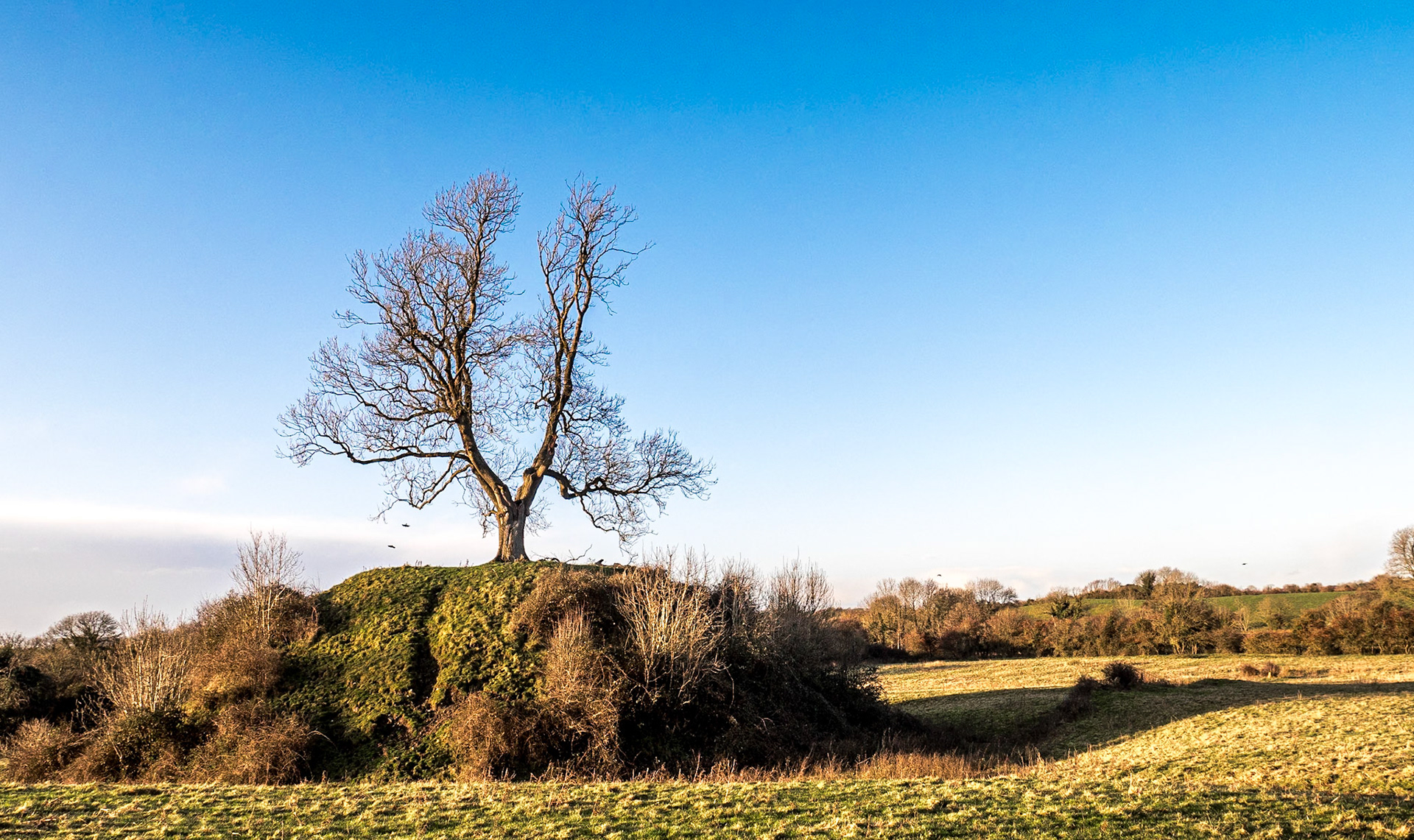 Cloncurry motte, Co Kildare