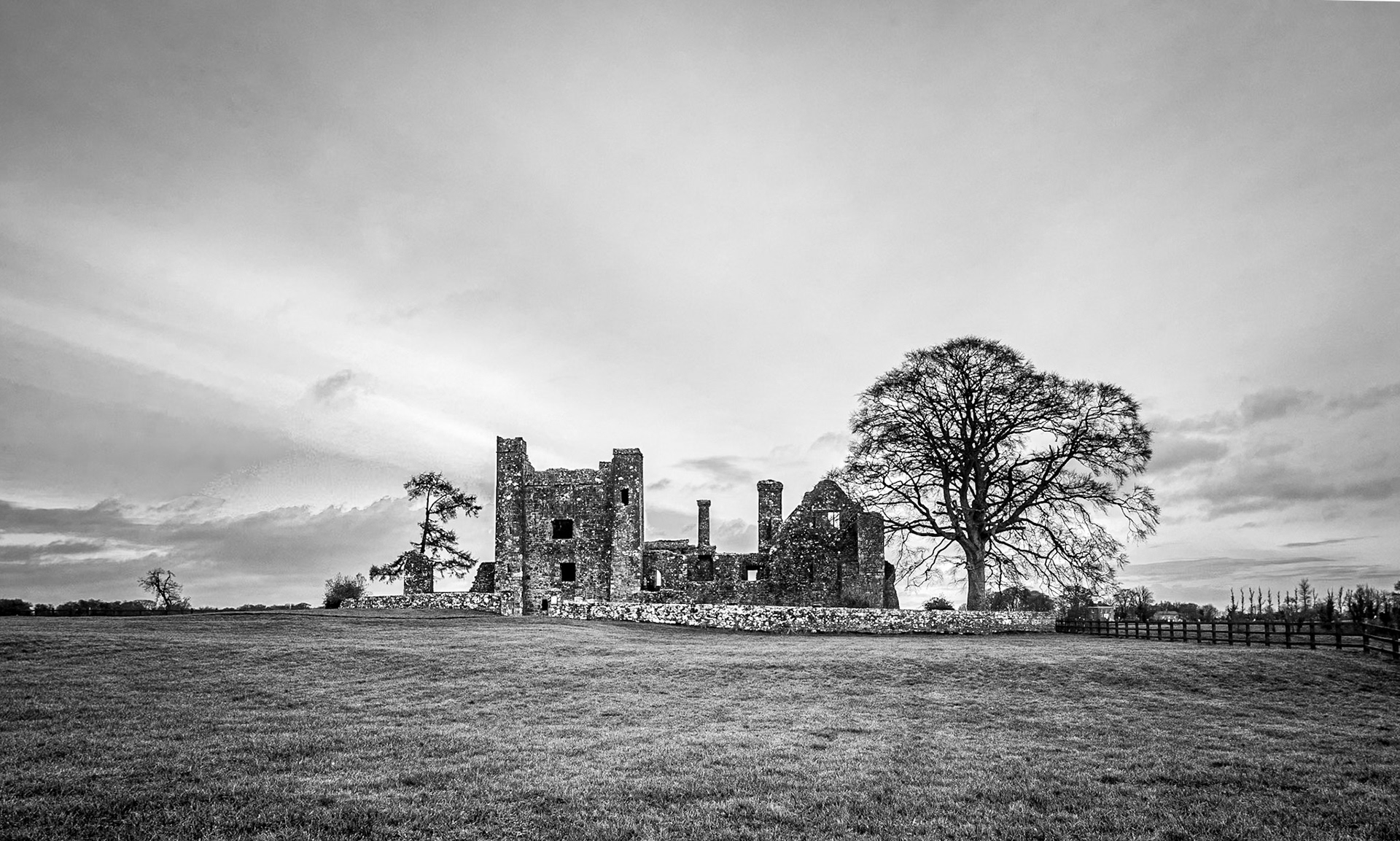 Bective Abbey, Co Meath, 19 Dec 2019