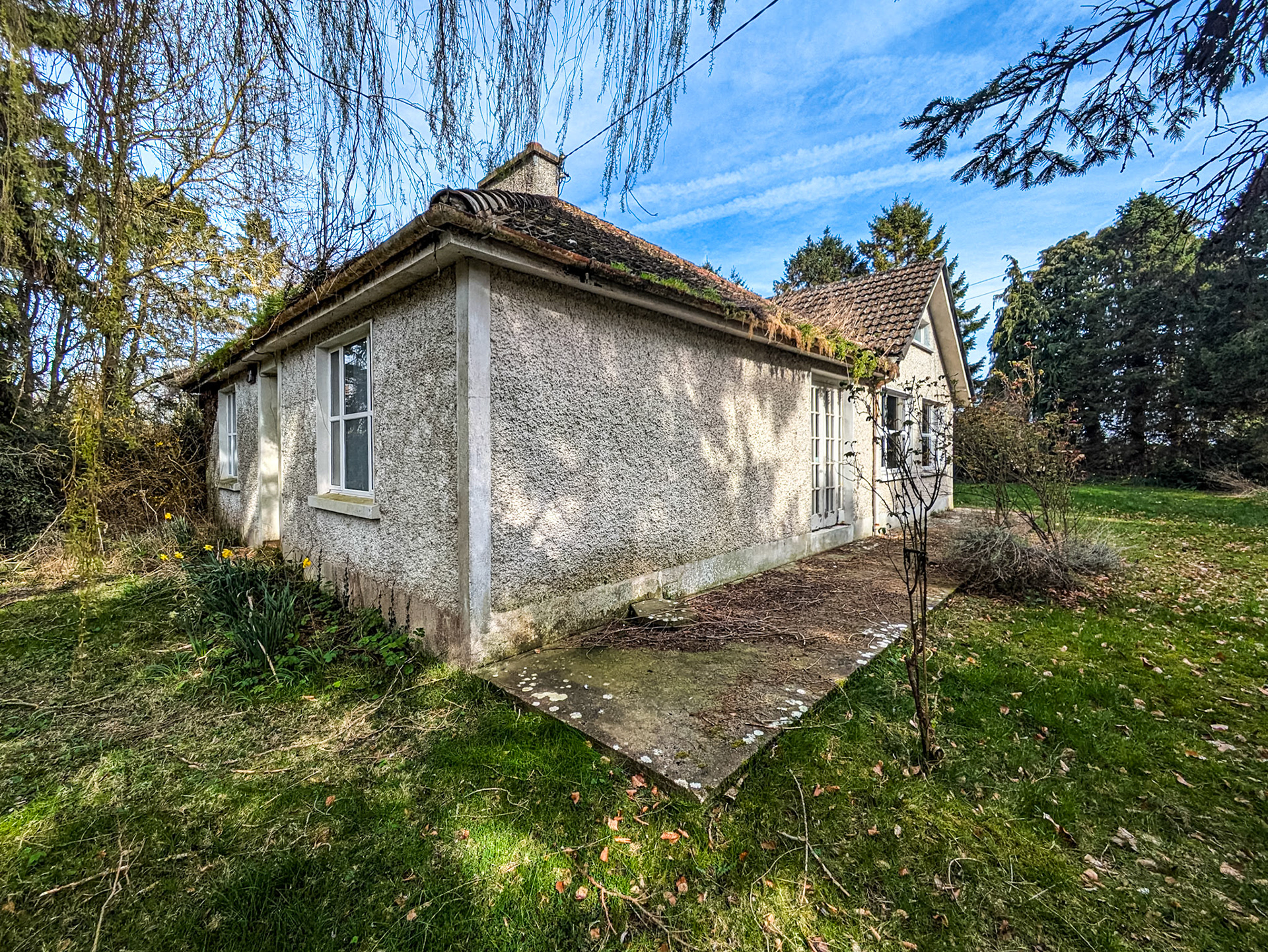 Tubber Lane, near Celbridge, Co Kildare, 20 Mar 2025