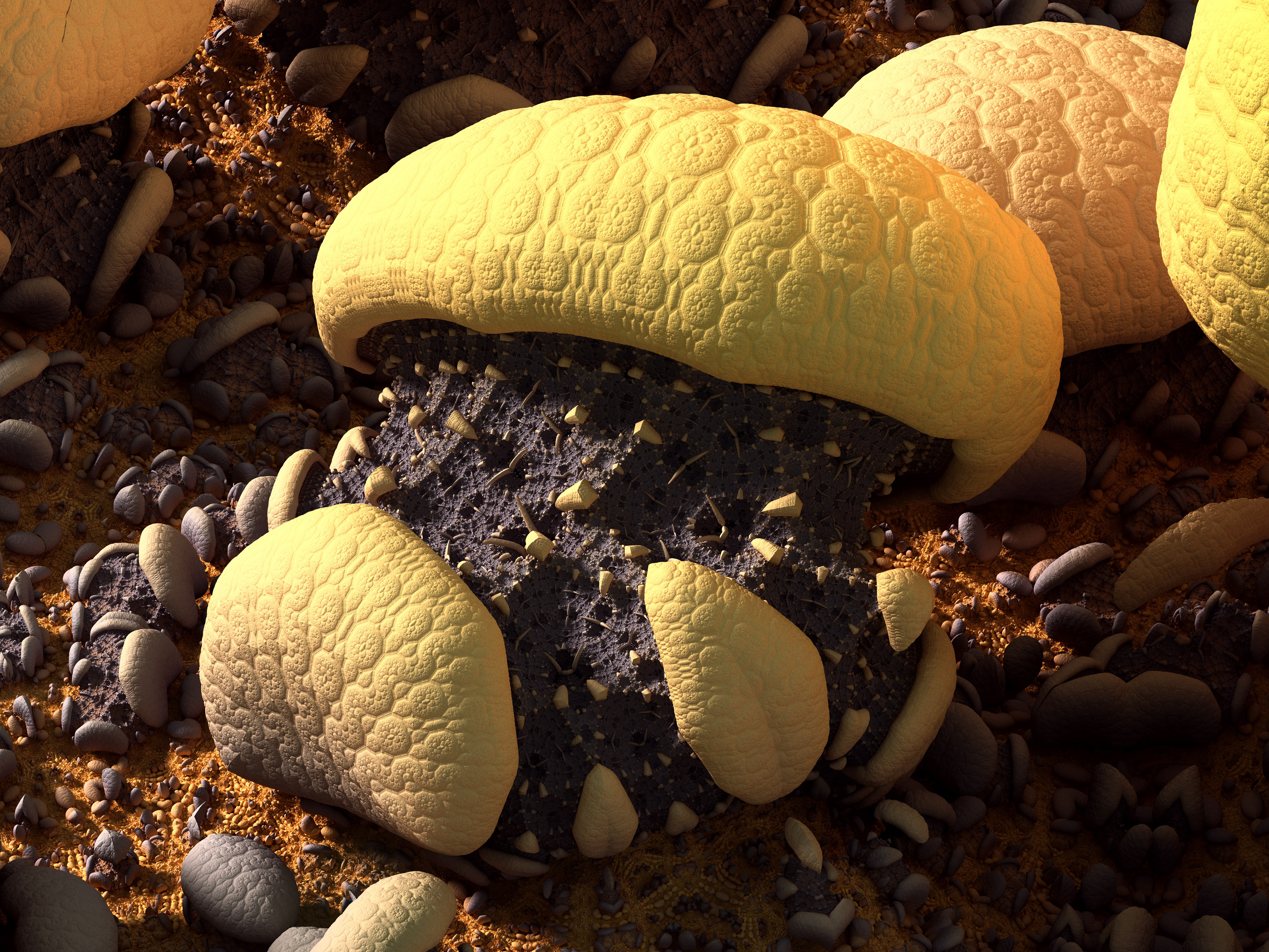 3DFractal186