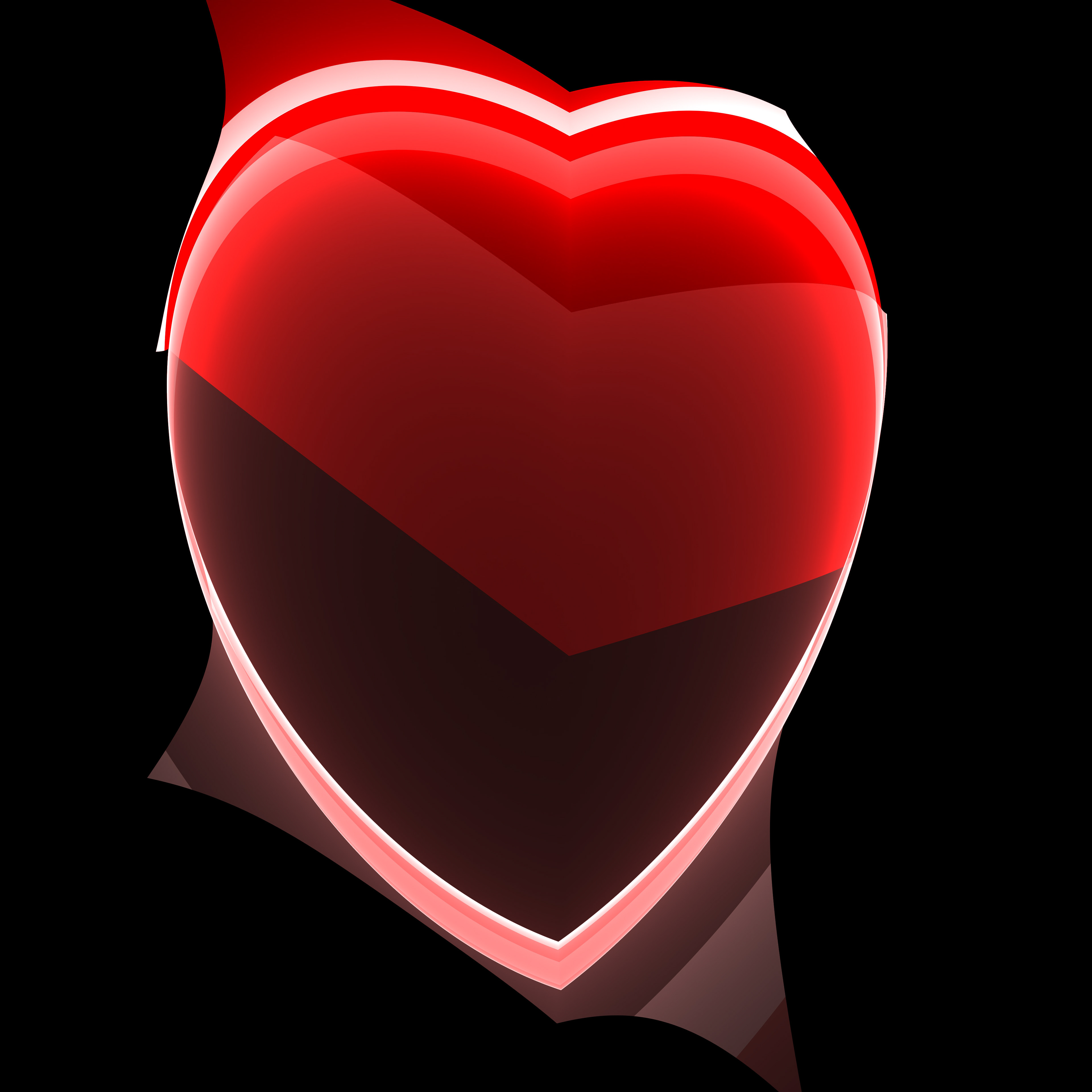DigitalHeart149