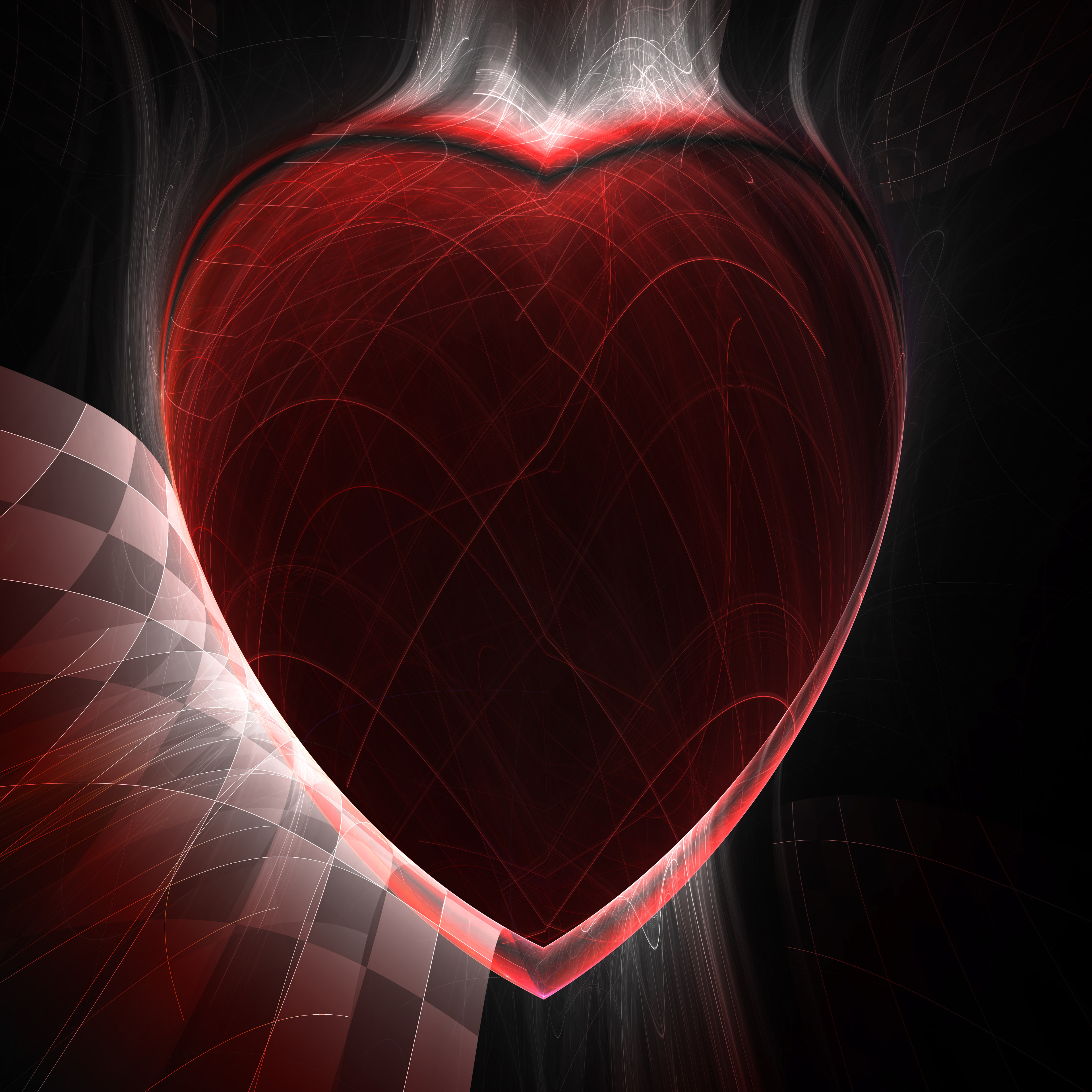 DigitalHeart213