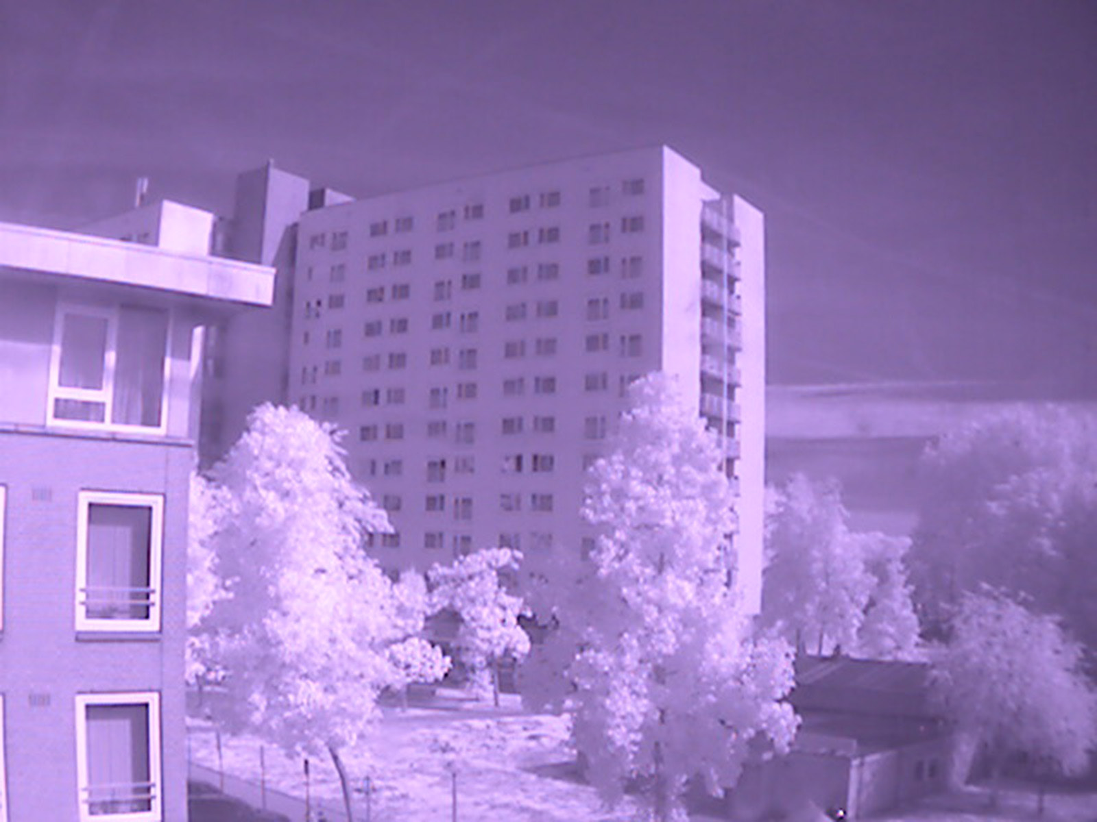 Infrared