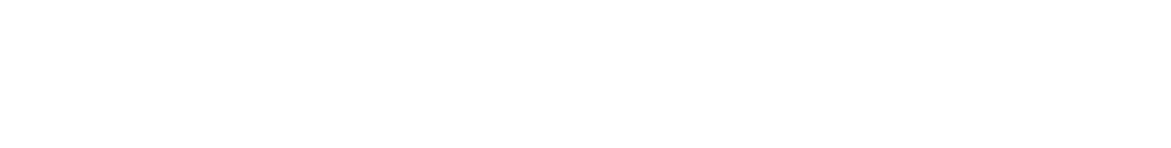 Logo of the NORTH55 name in capslock letters