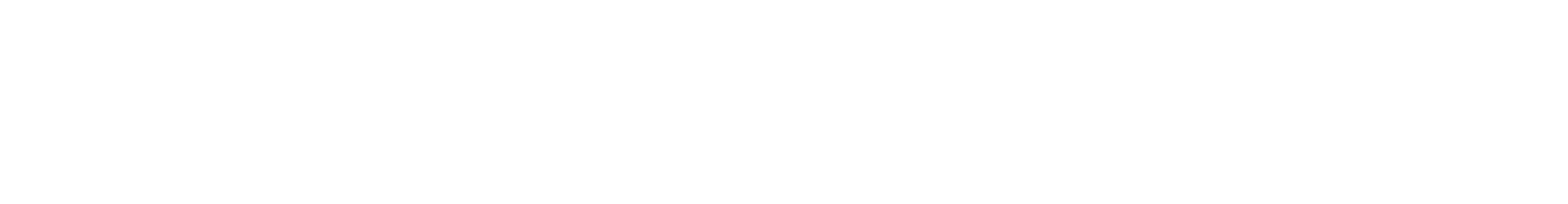 Logo of the NORTH55 name in capslock letters