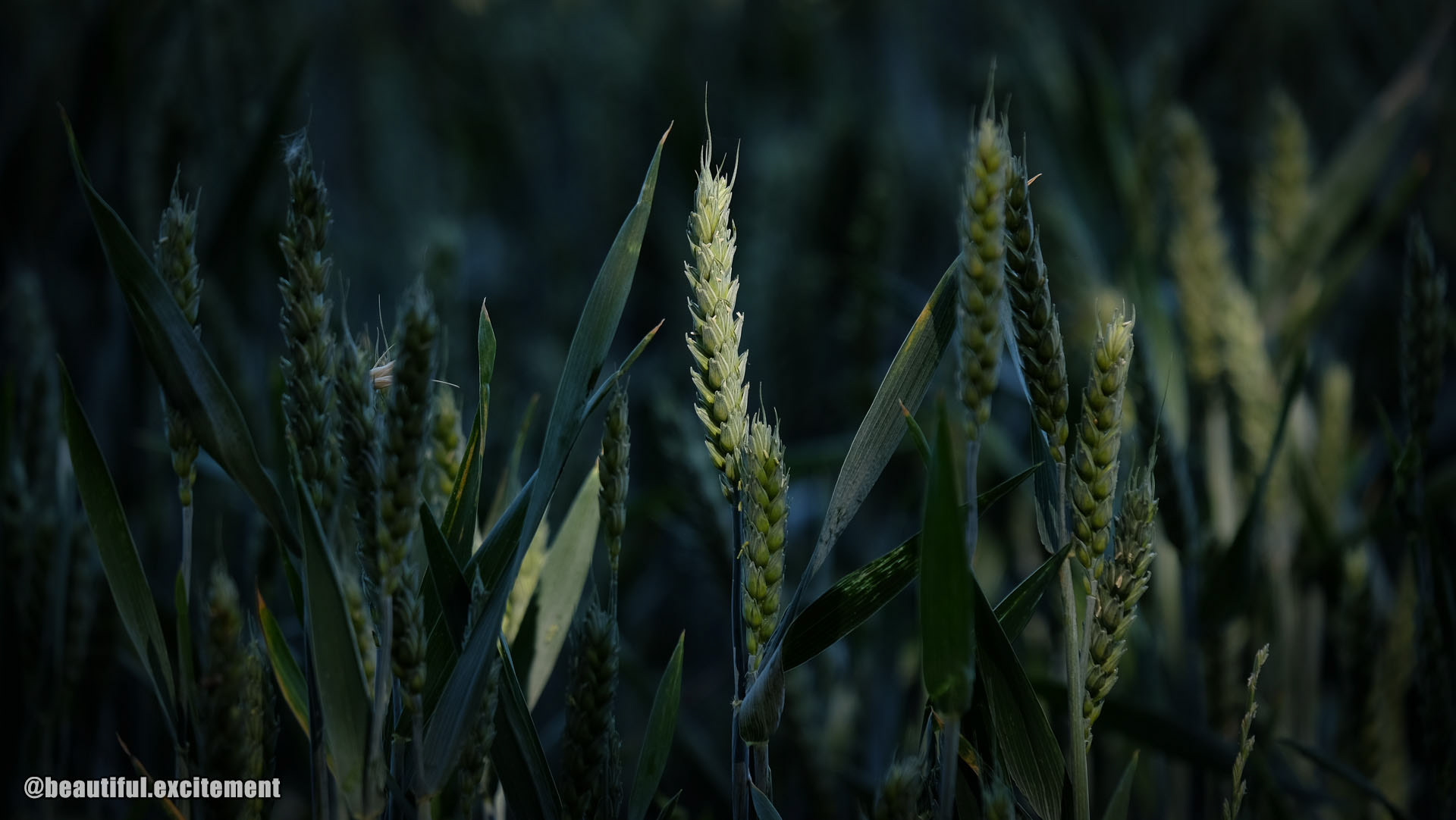 Mother Earth loves us