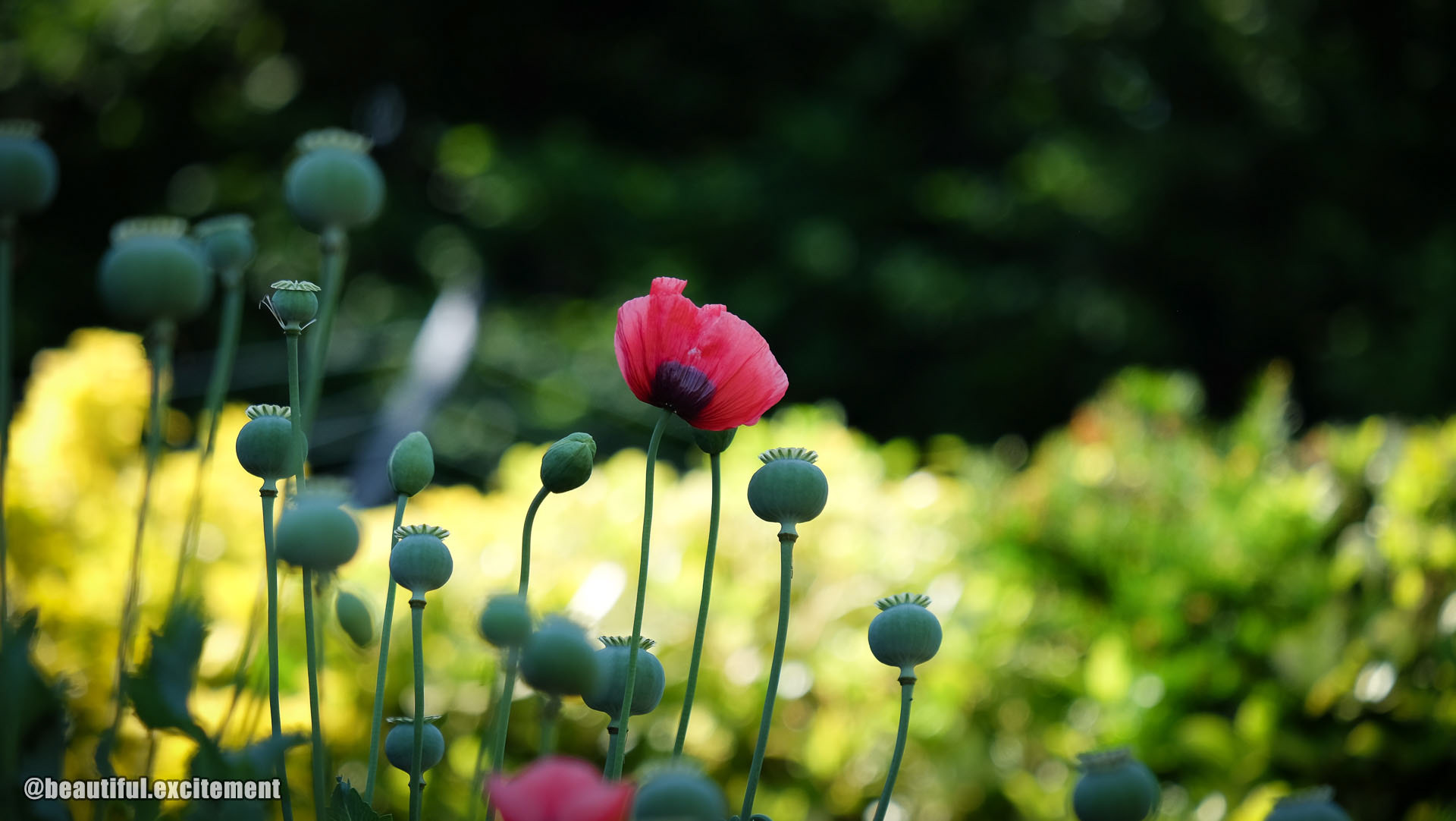 One is late a bit with transformation