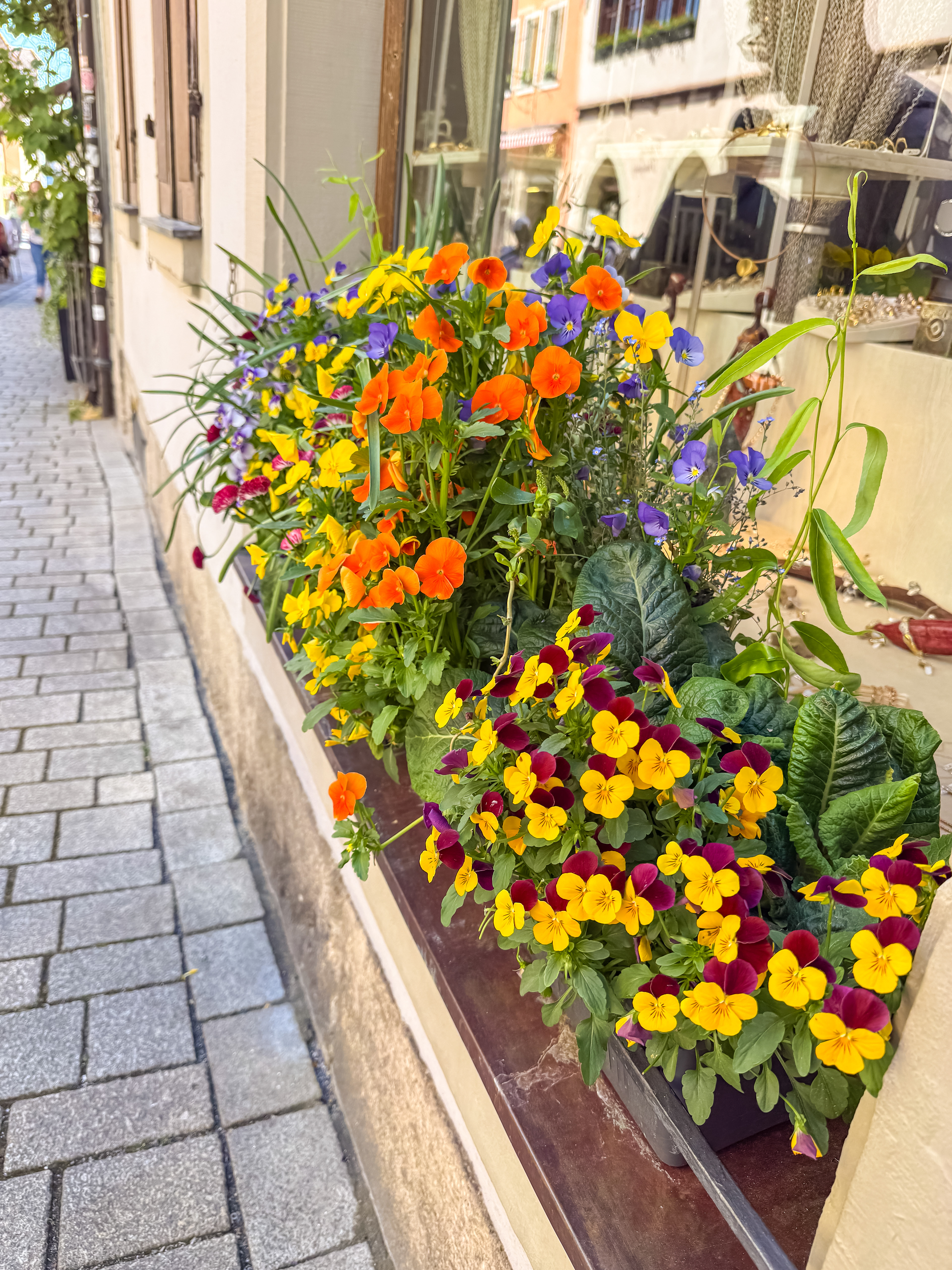 Gorgeous flowers