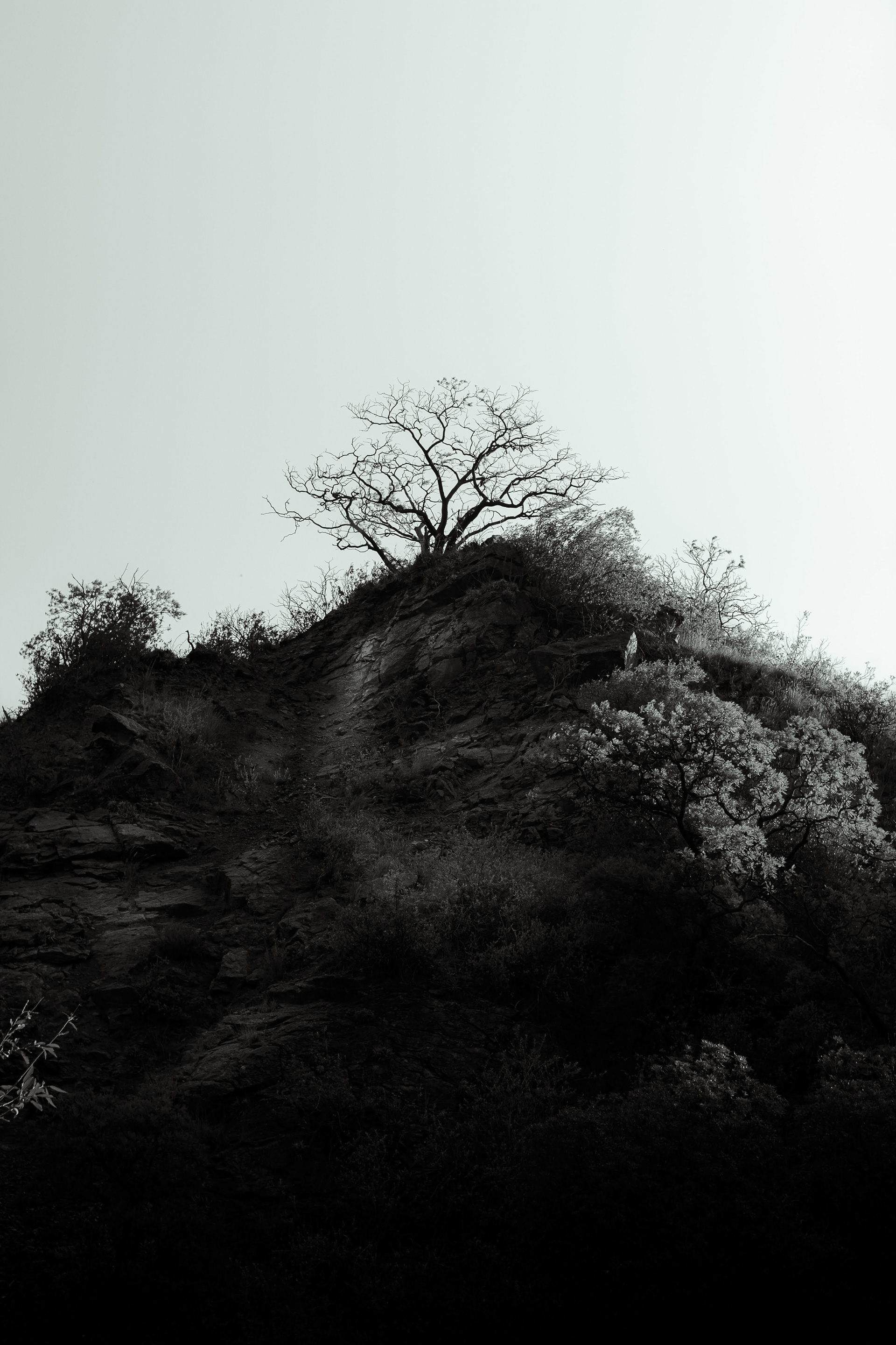 50mm - f/4 - 1/500- iso 100