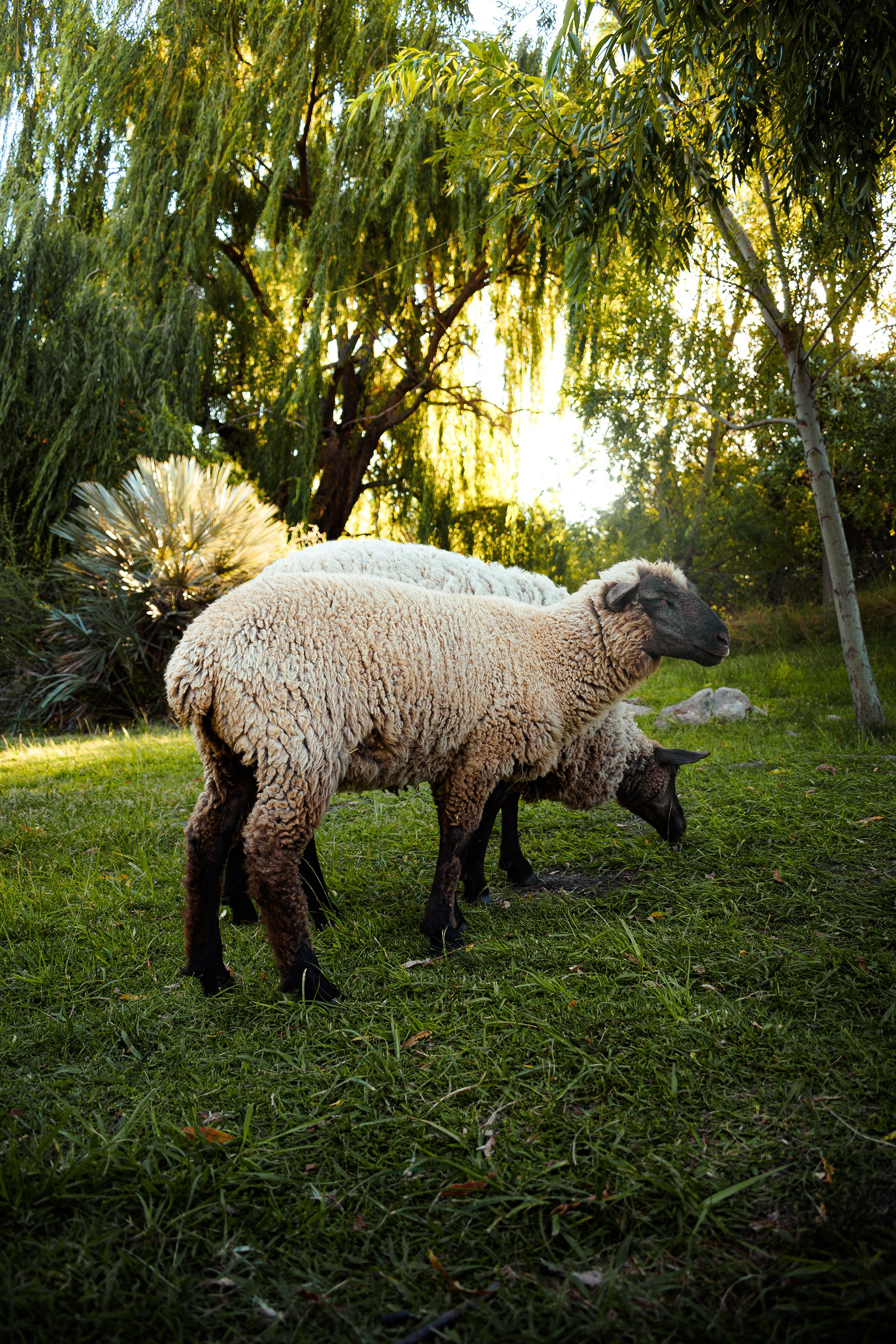 18mm - f/3.5 - 1/160- iso 100