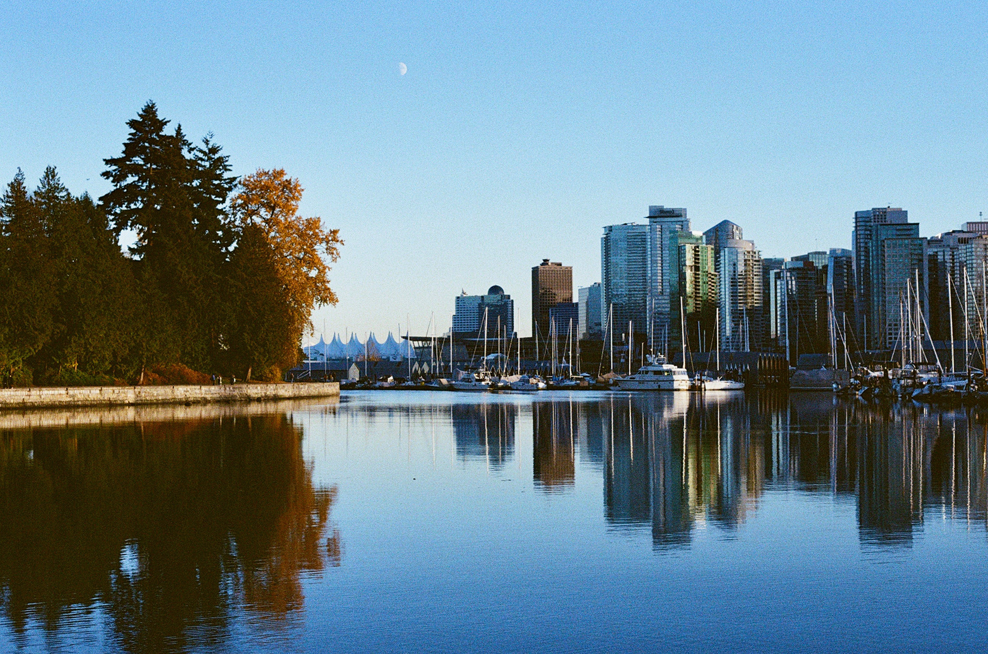 Stanley Park view