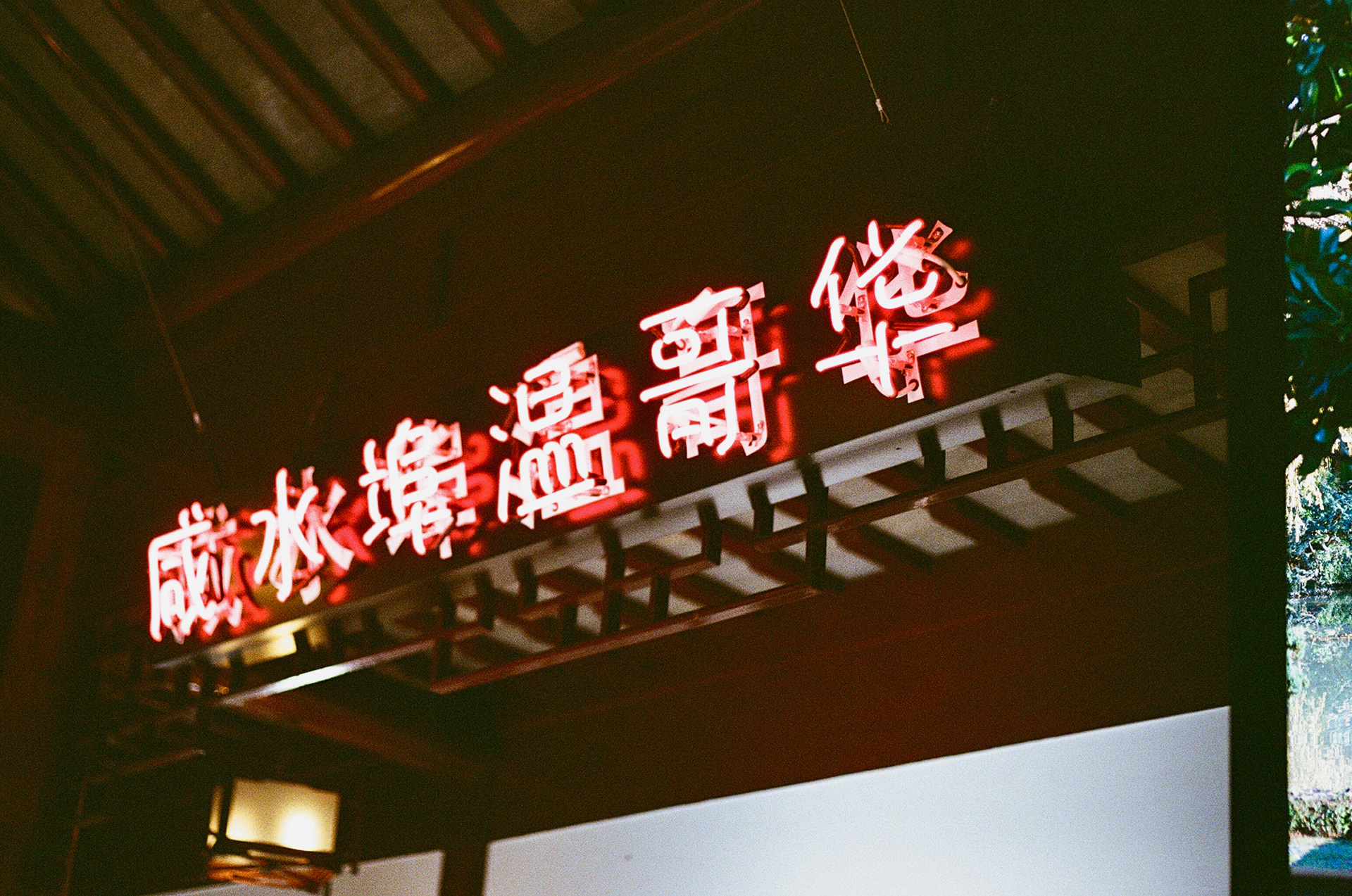 Neon by Paul Wong Projects