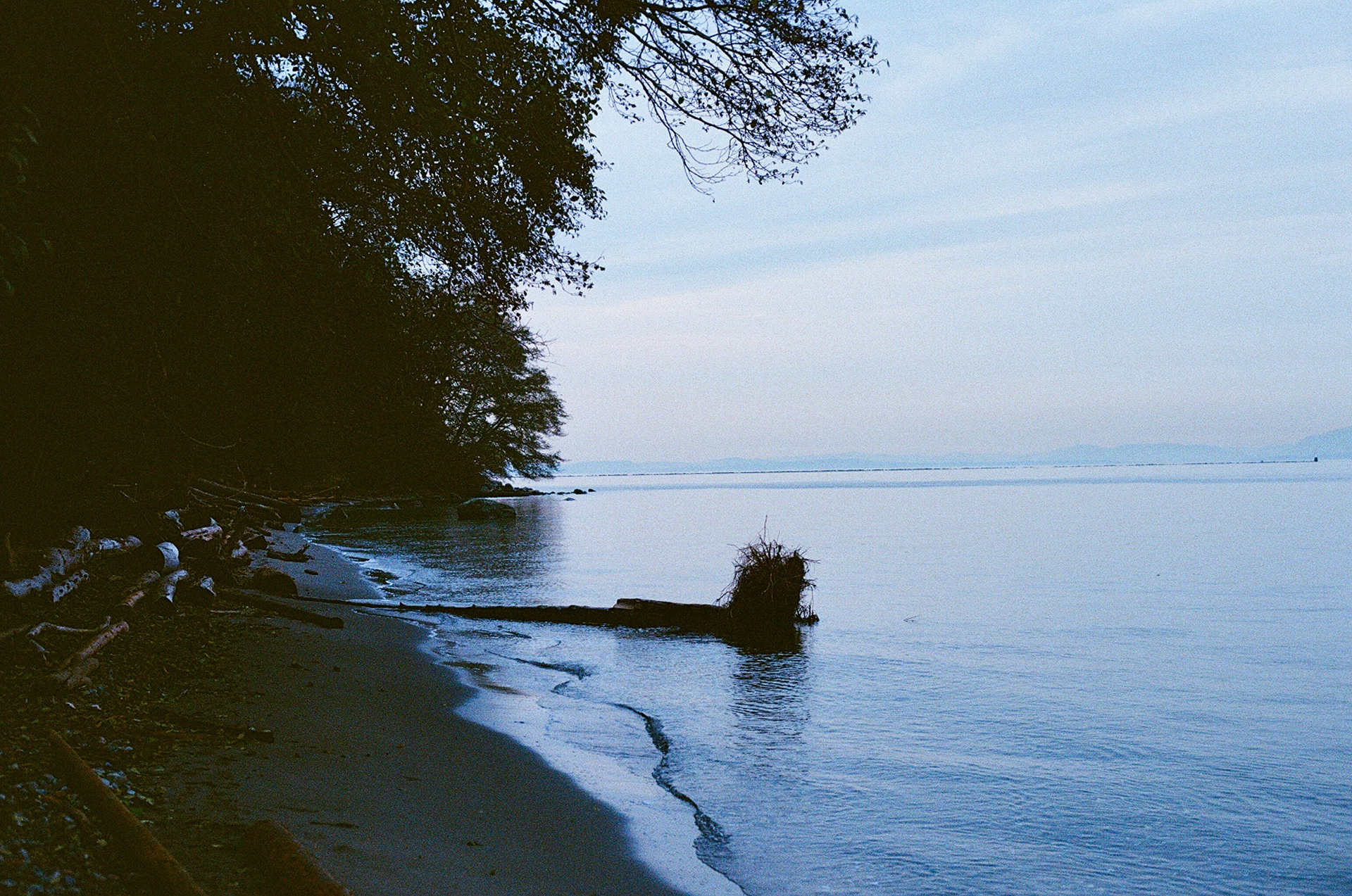Nude beach at UBC