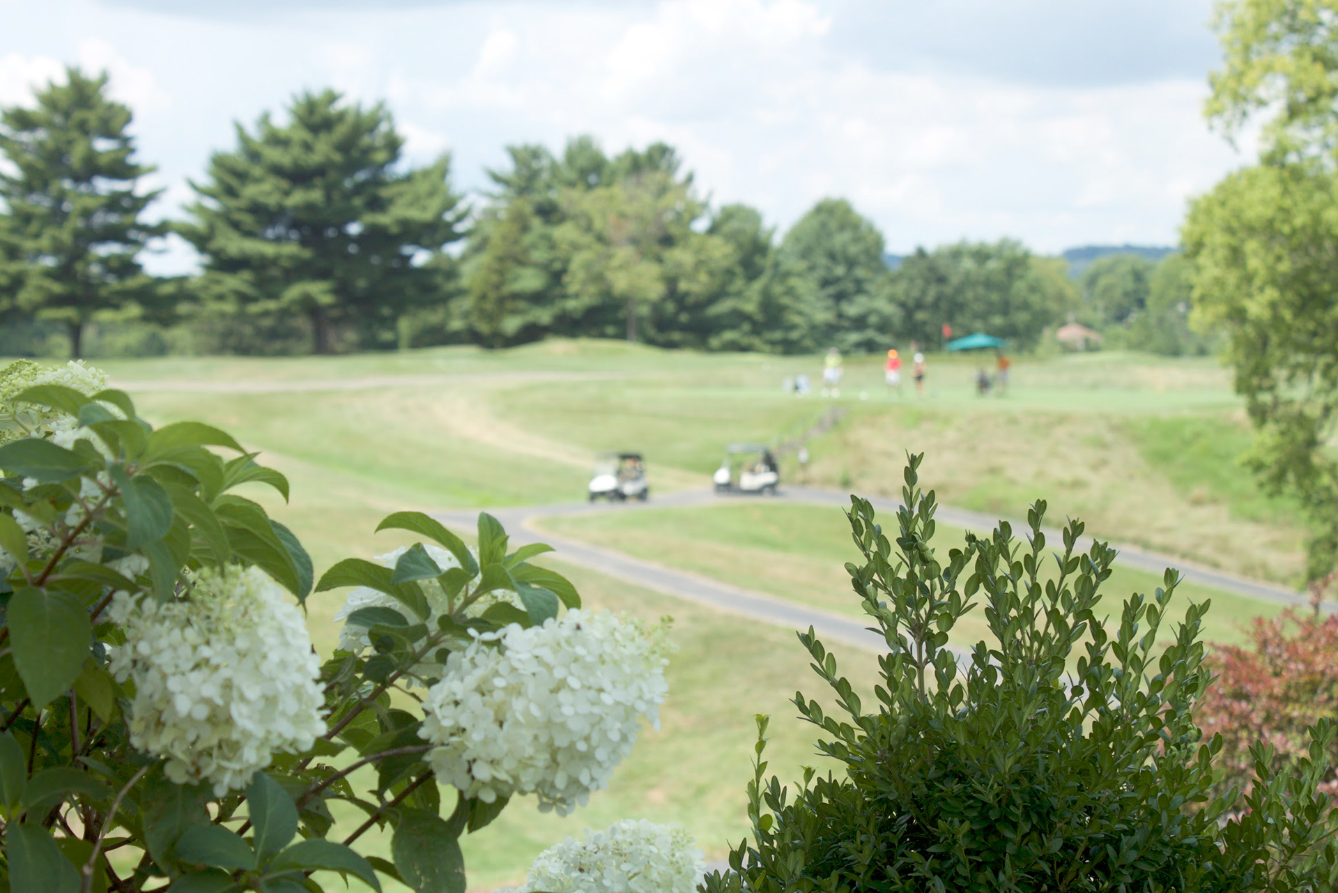 A beautiful view of the Maketewah Country Club.