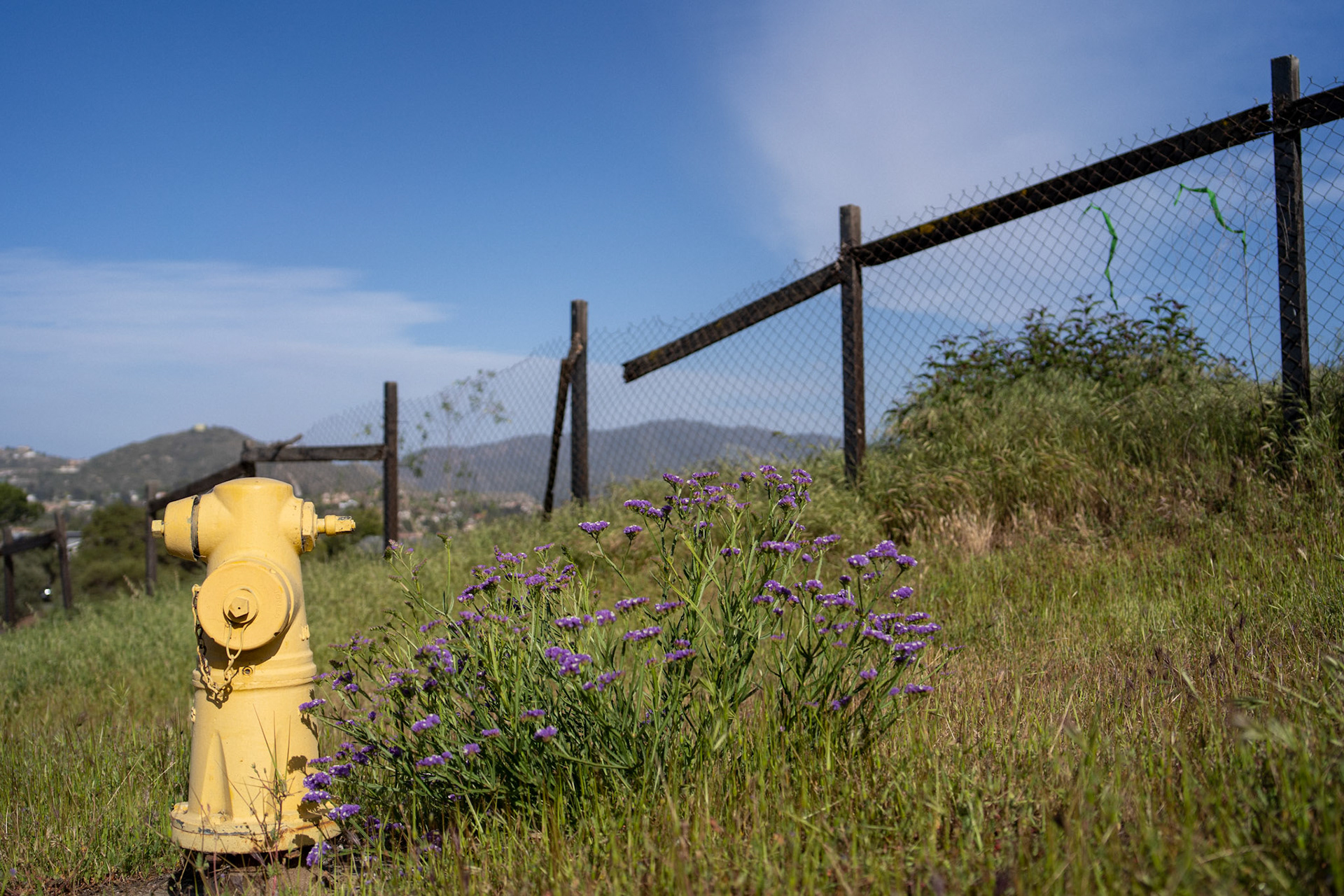Hydrant Hill