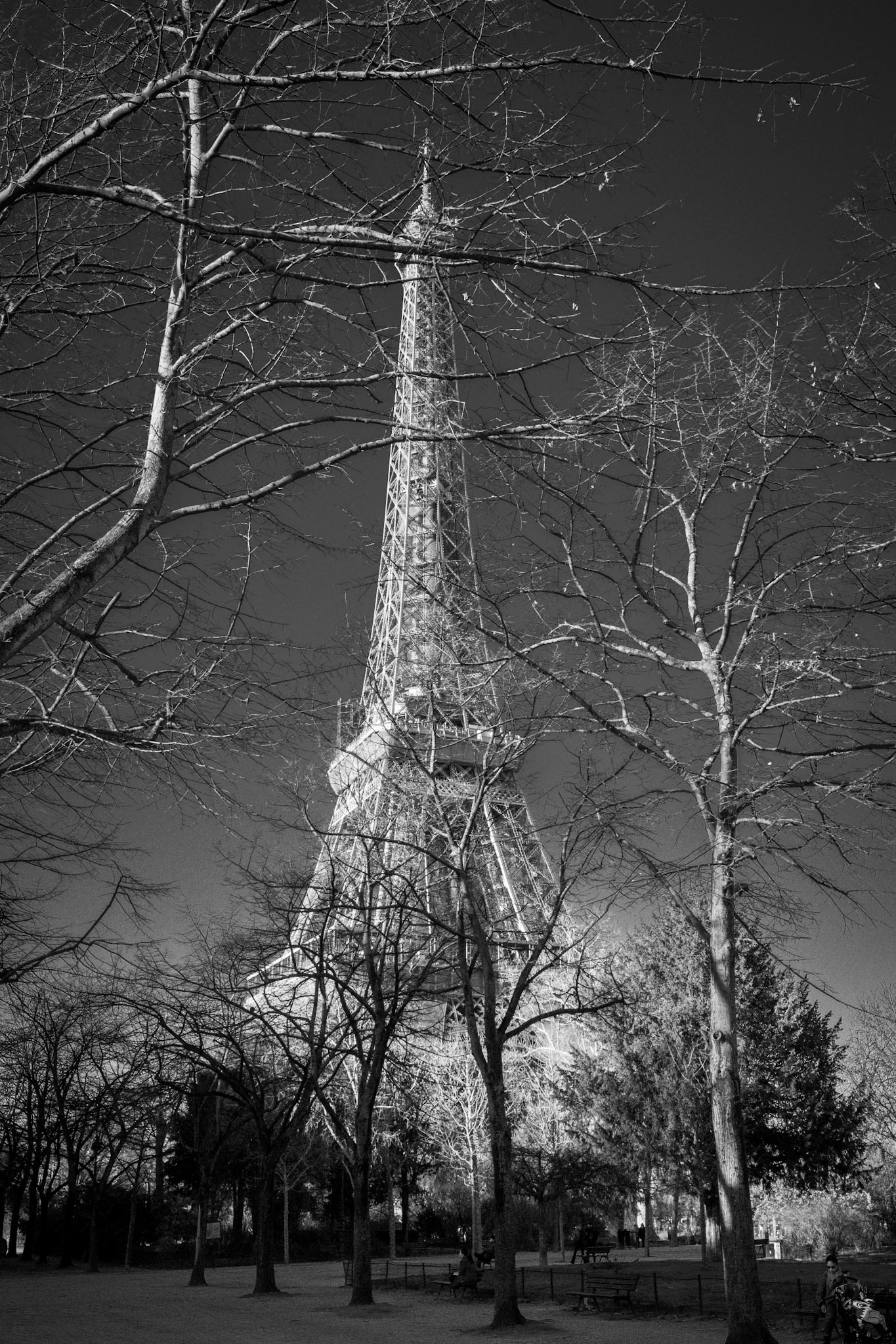Eiffer Tower in the light