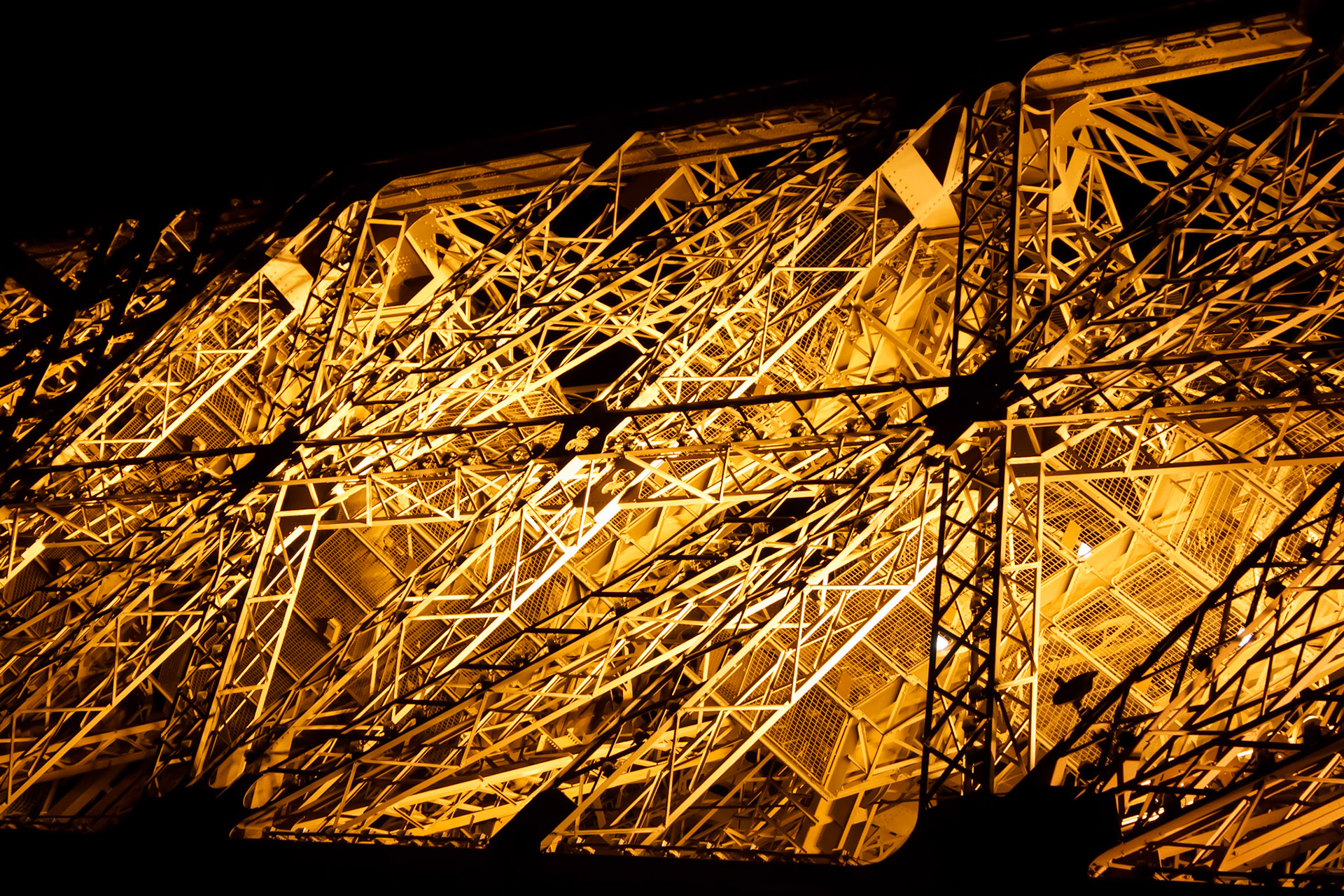 Spider's web