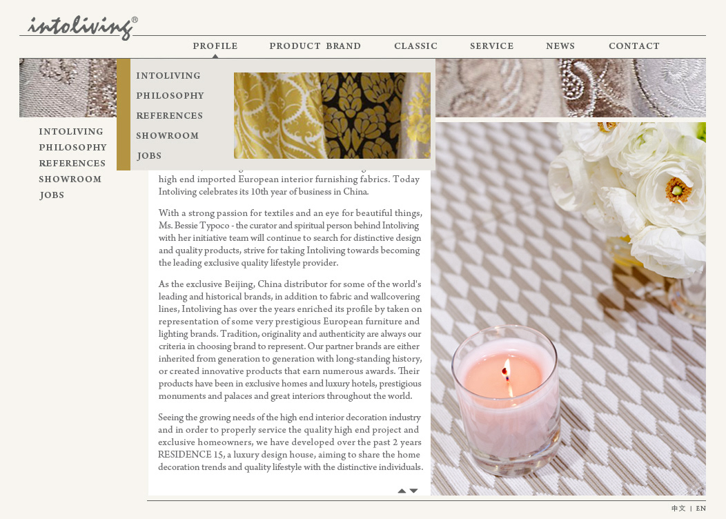 Website design