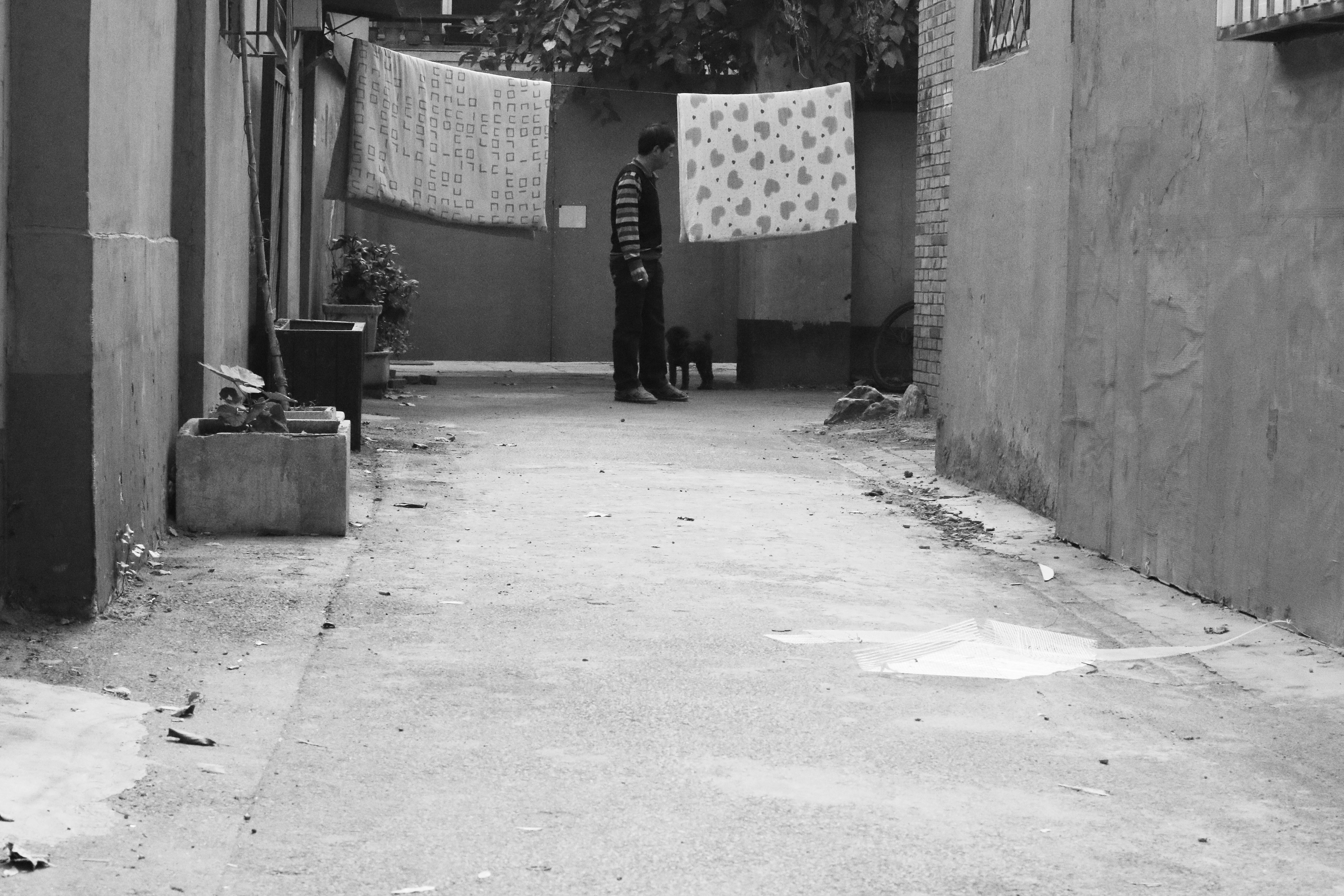 Love in China, Yan Huang Art Museum, Beijing