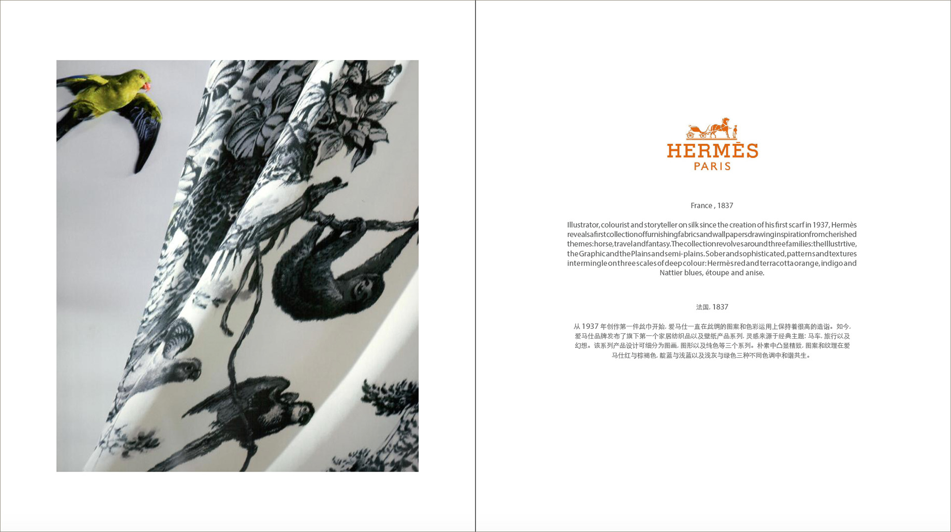 Catalog design for different purpose and brand representation