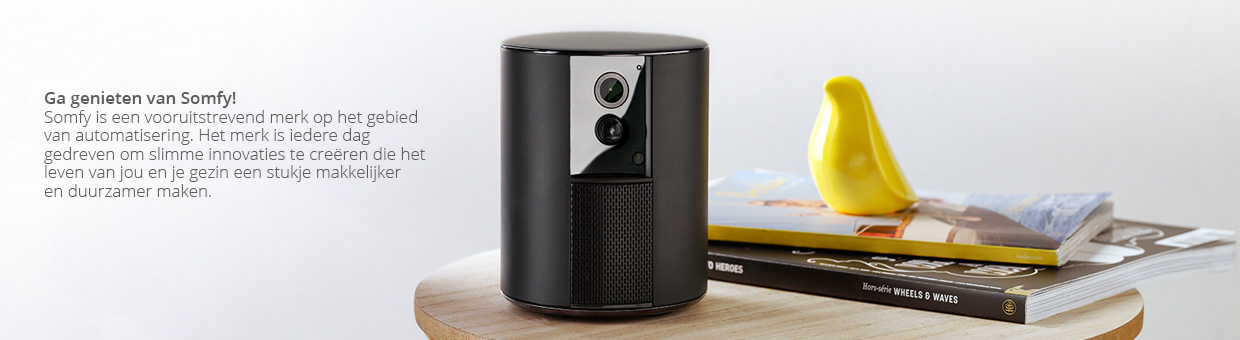 Online visuals for different devices , brand representation