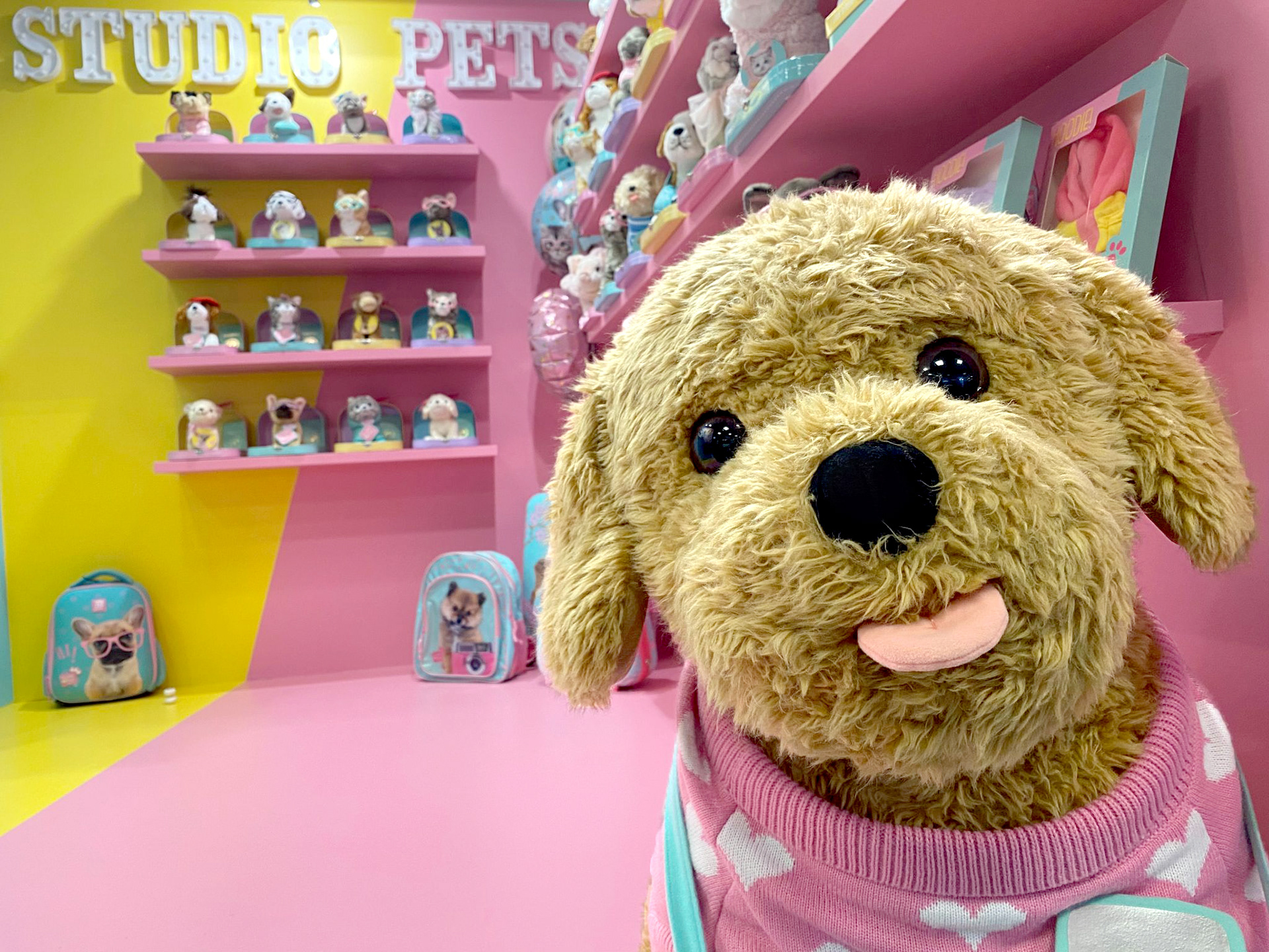 Introducing Studio Pets by Myrna to potential clients
