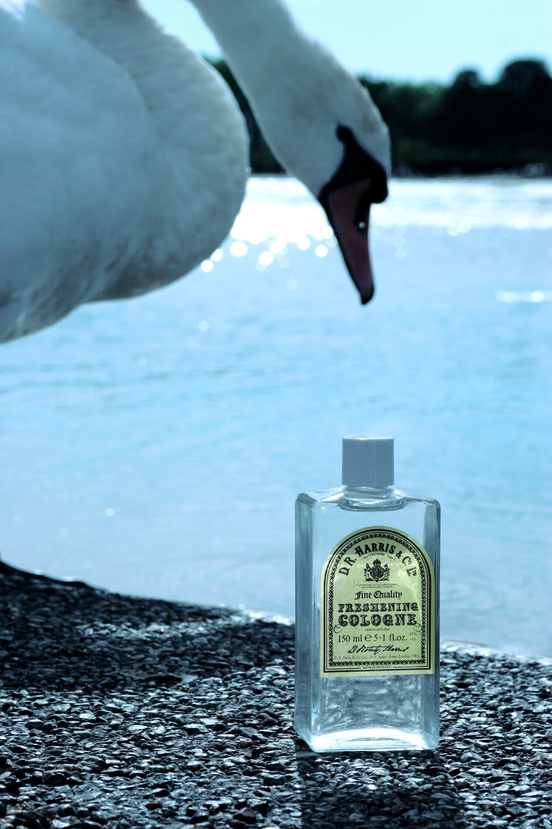 Product photography in environment