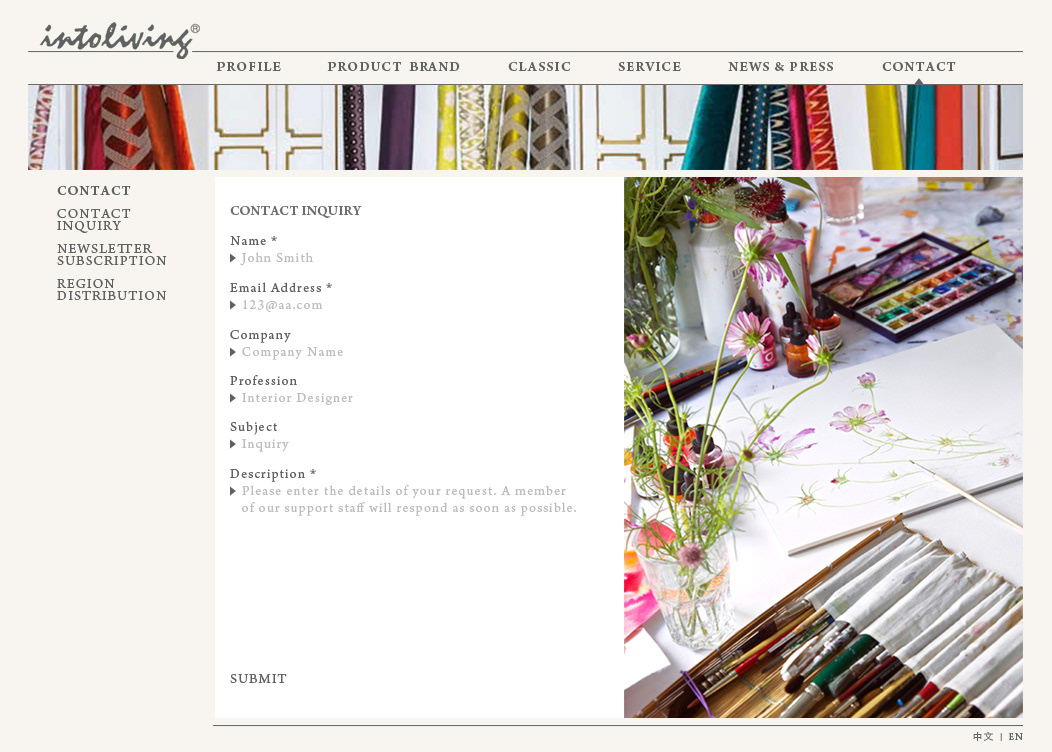 Visuals preparation and selection for the website