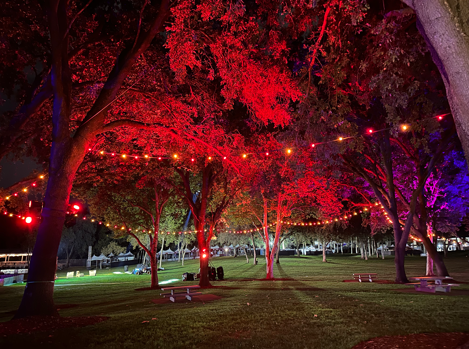 Loved this color scheme!