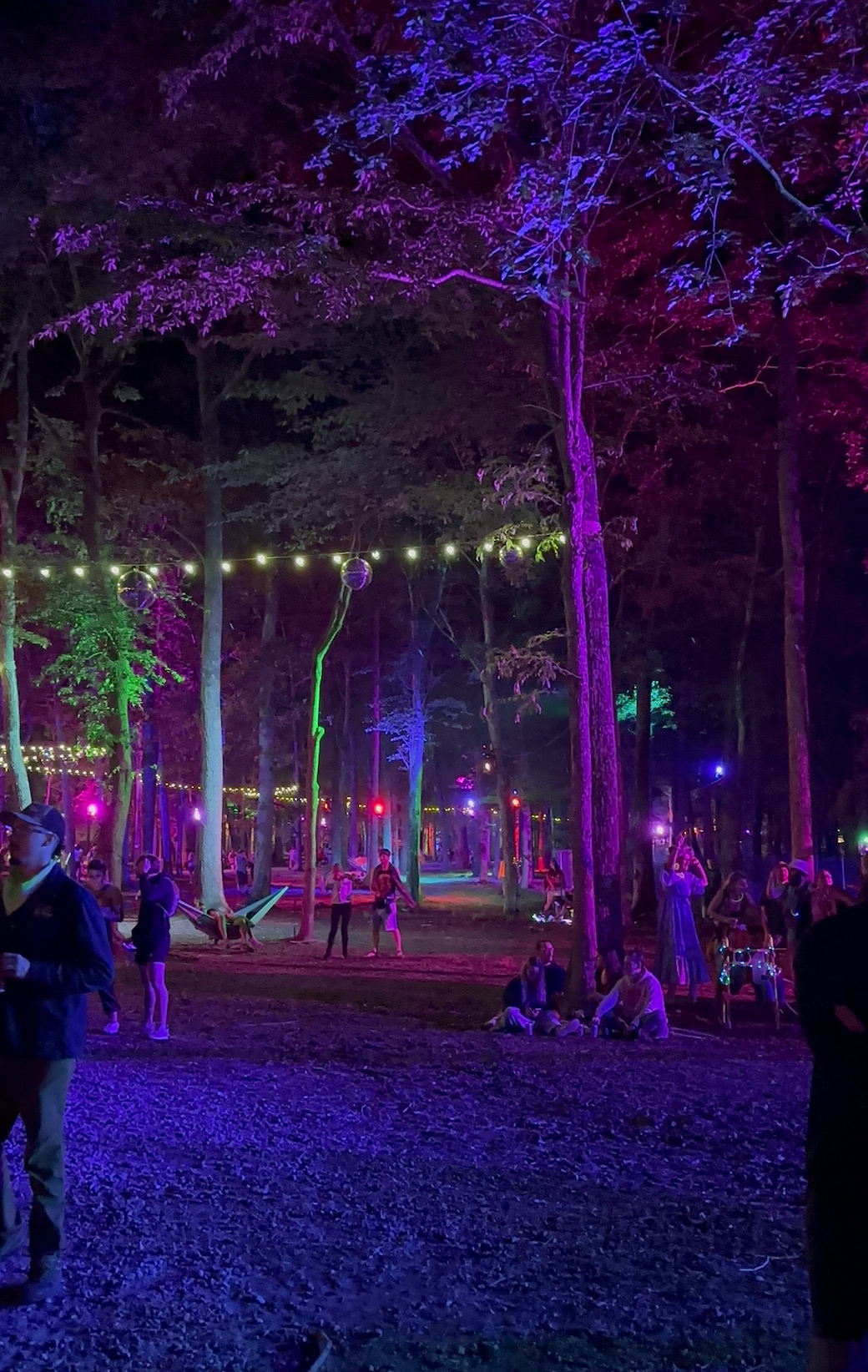 A view from one end of "Where in the Woods!"
