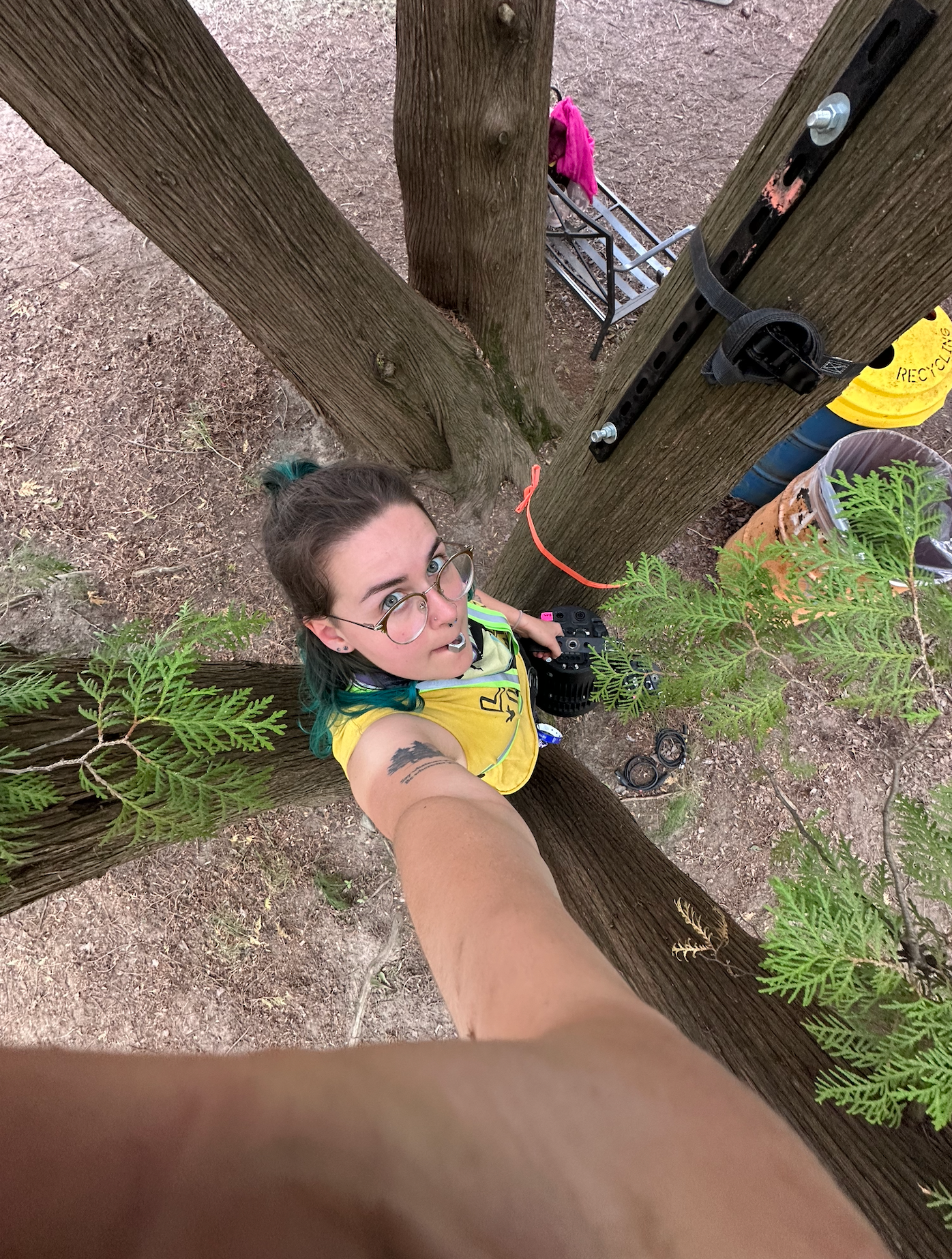Always in the trees!