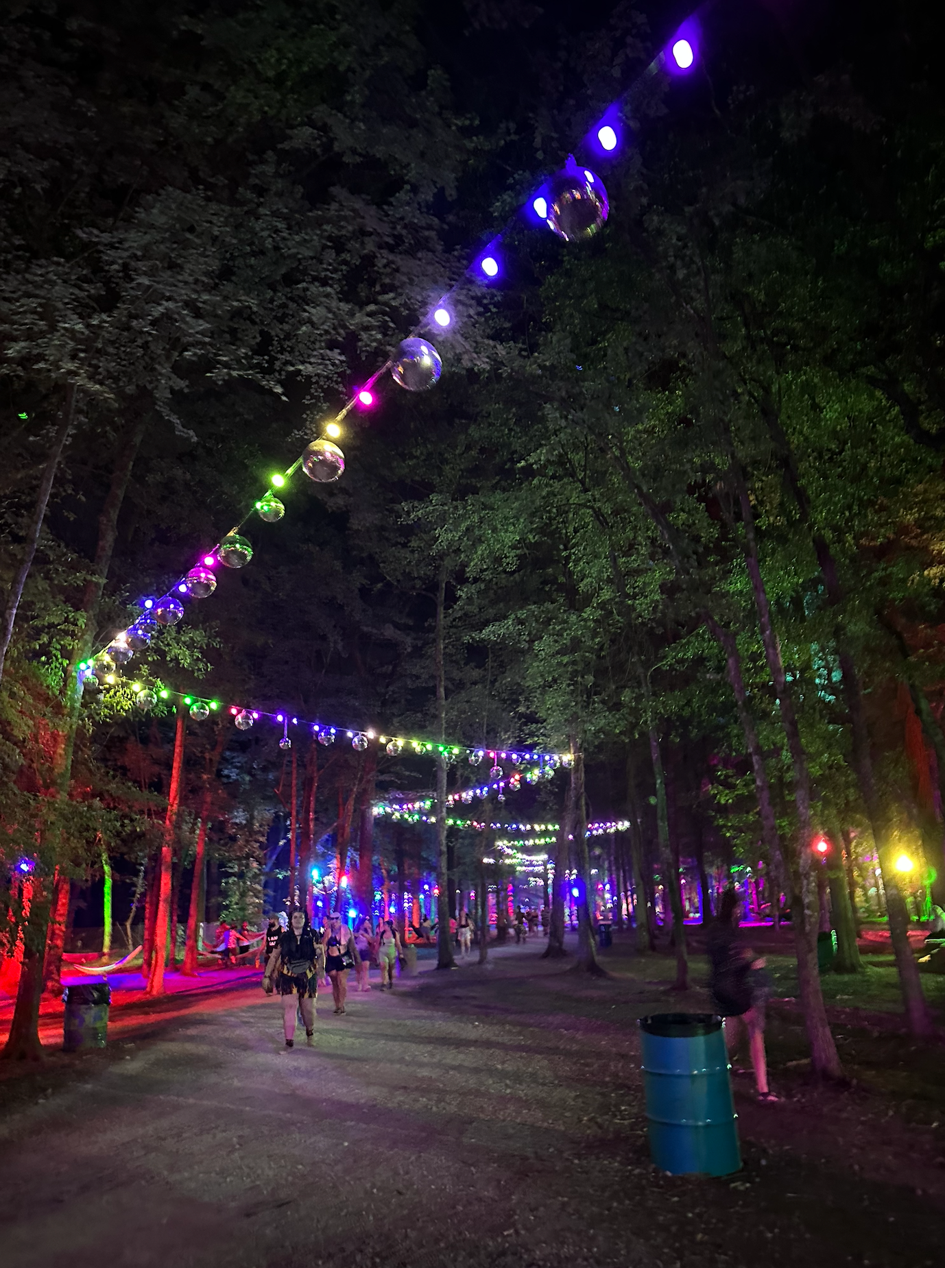 An inside look at "Where in the Woods" with pars, strings of festoons, and disco balls!
