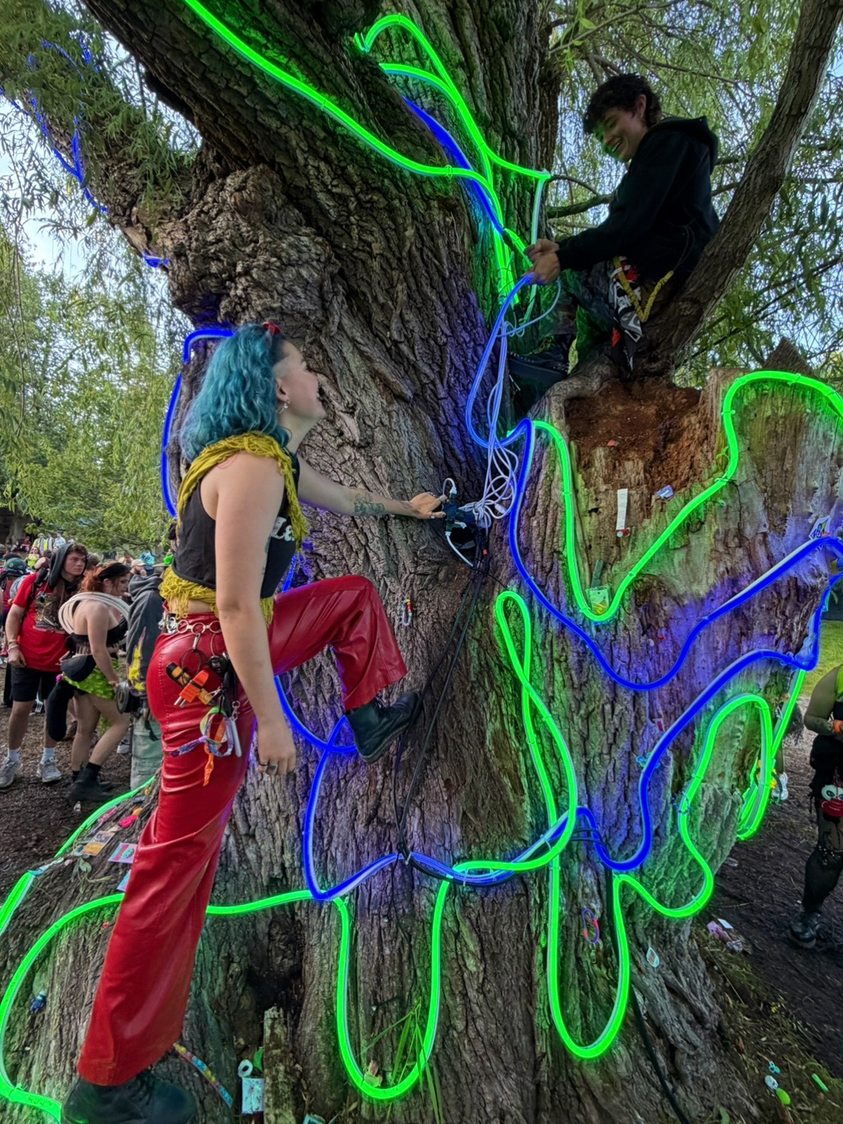 The Giving Tree
