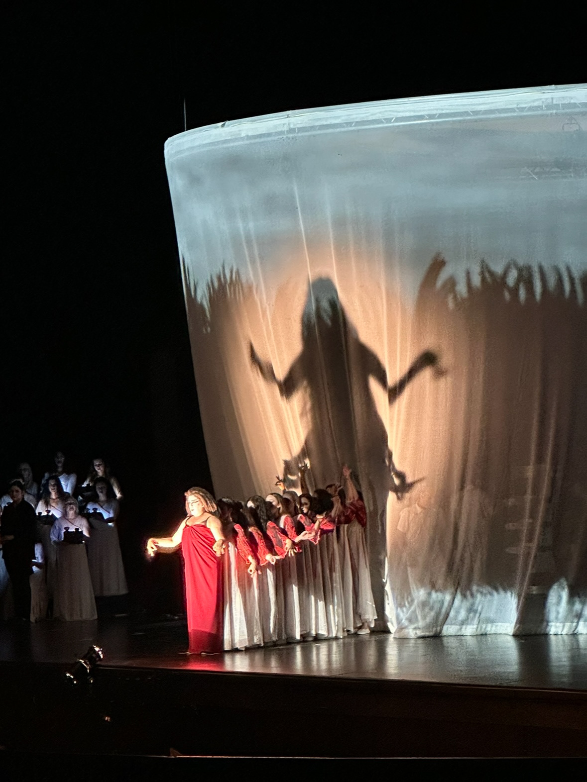 "Carmina Burana" Final Dress Photo
