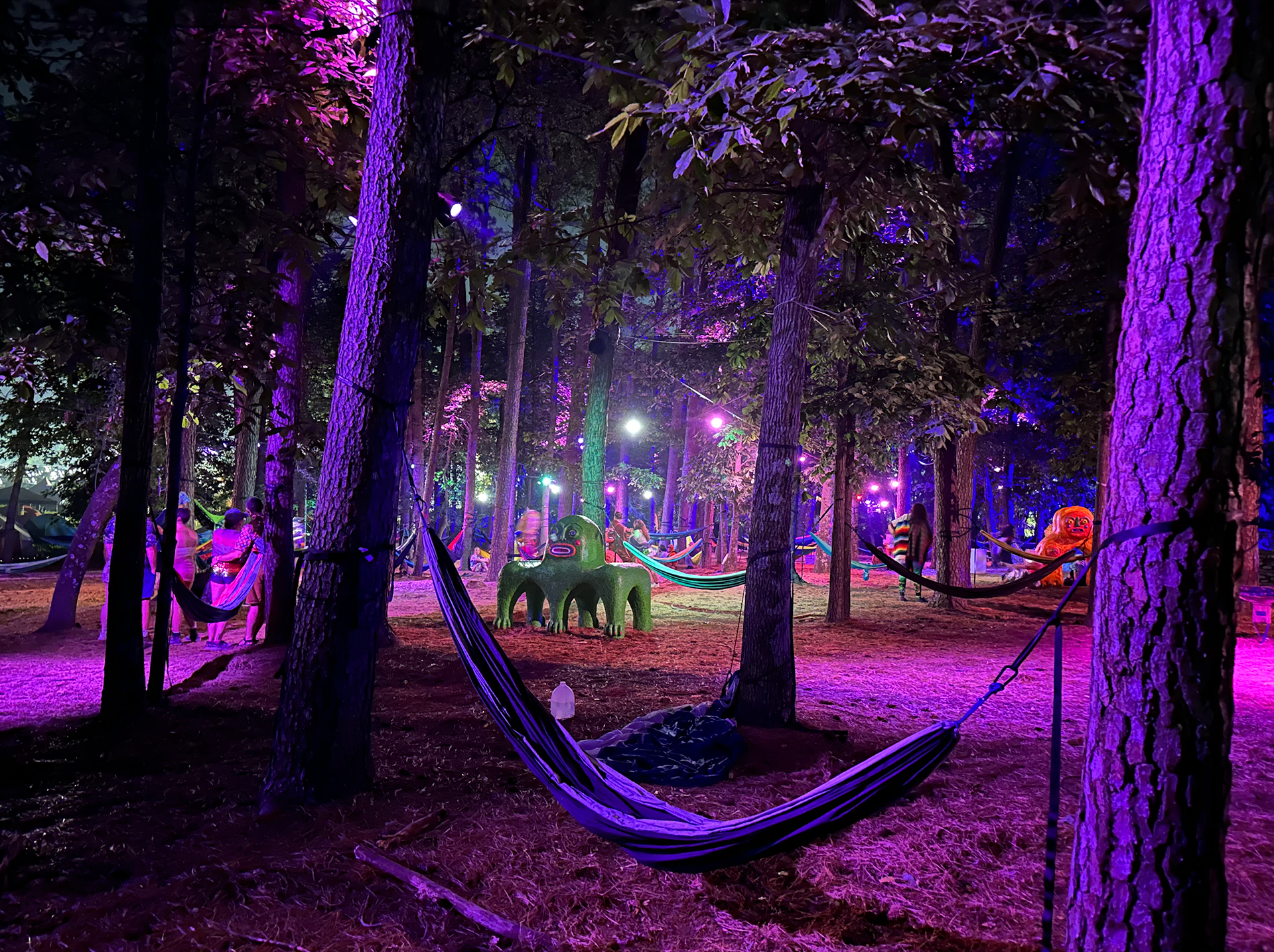 Another great shot of "The Grove"- so many hammocks!