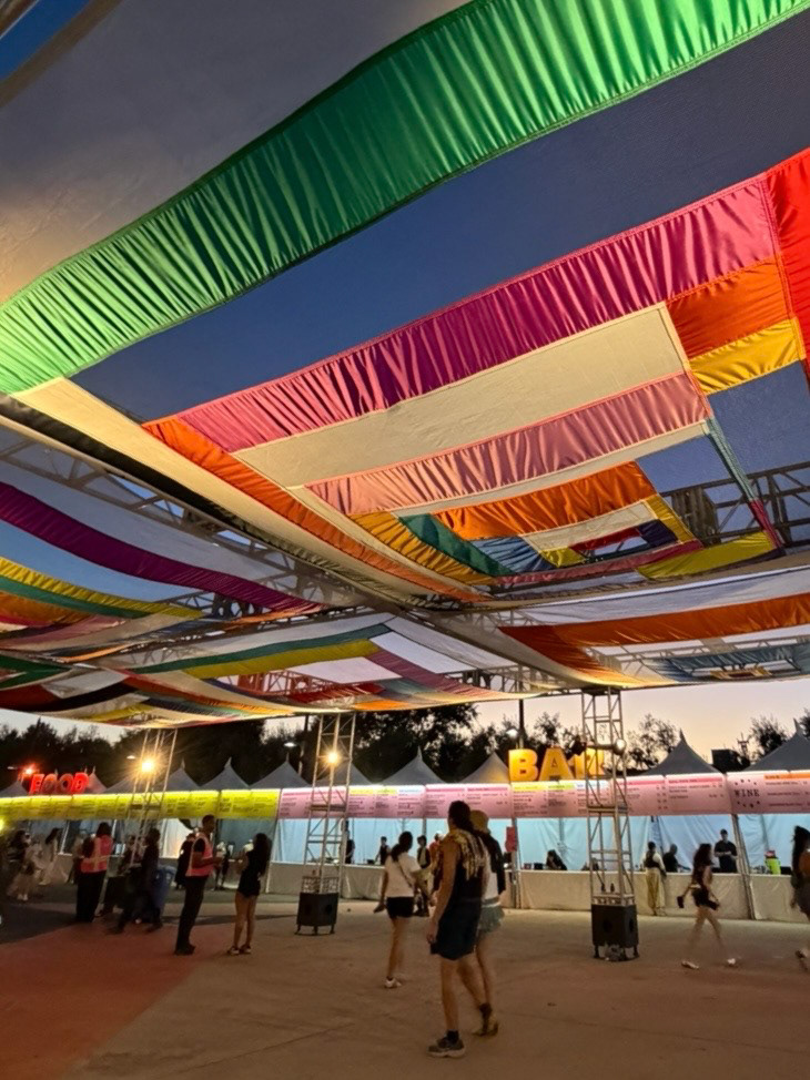 Rachel Hayes installation