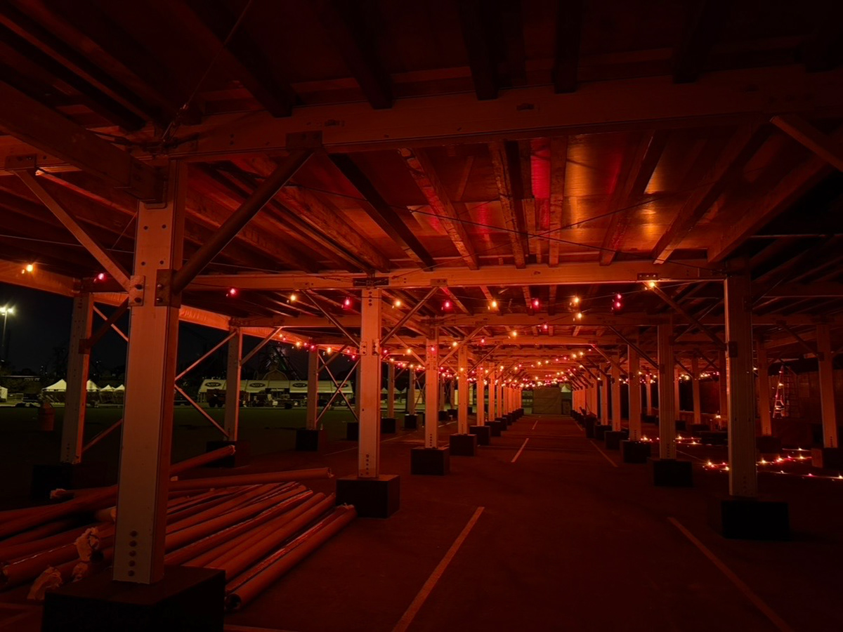 Festoon 4 dayz