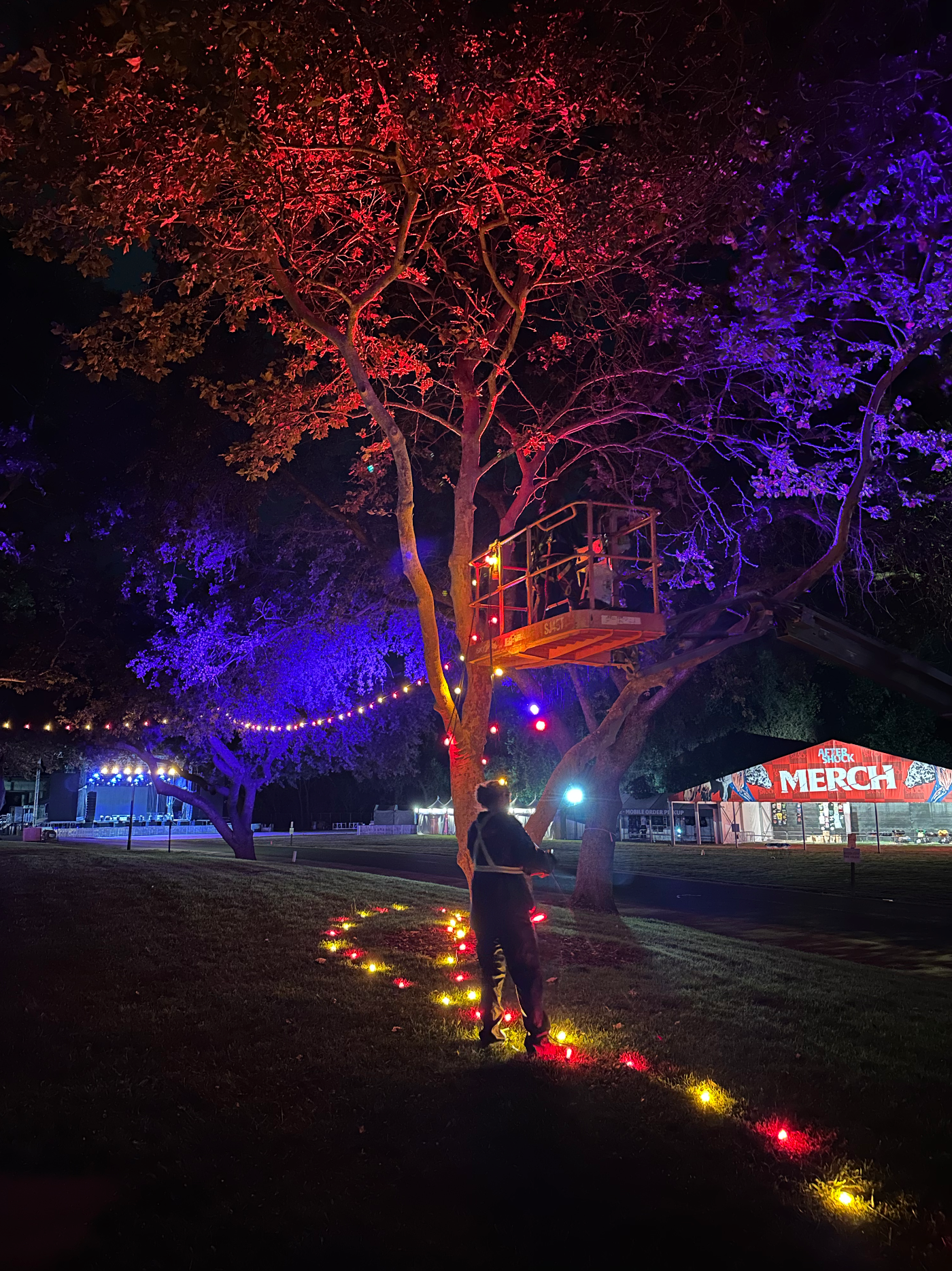 Business is BOOMing...