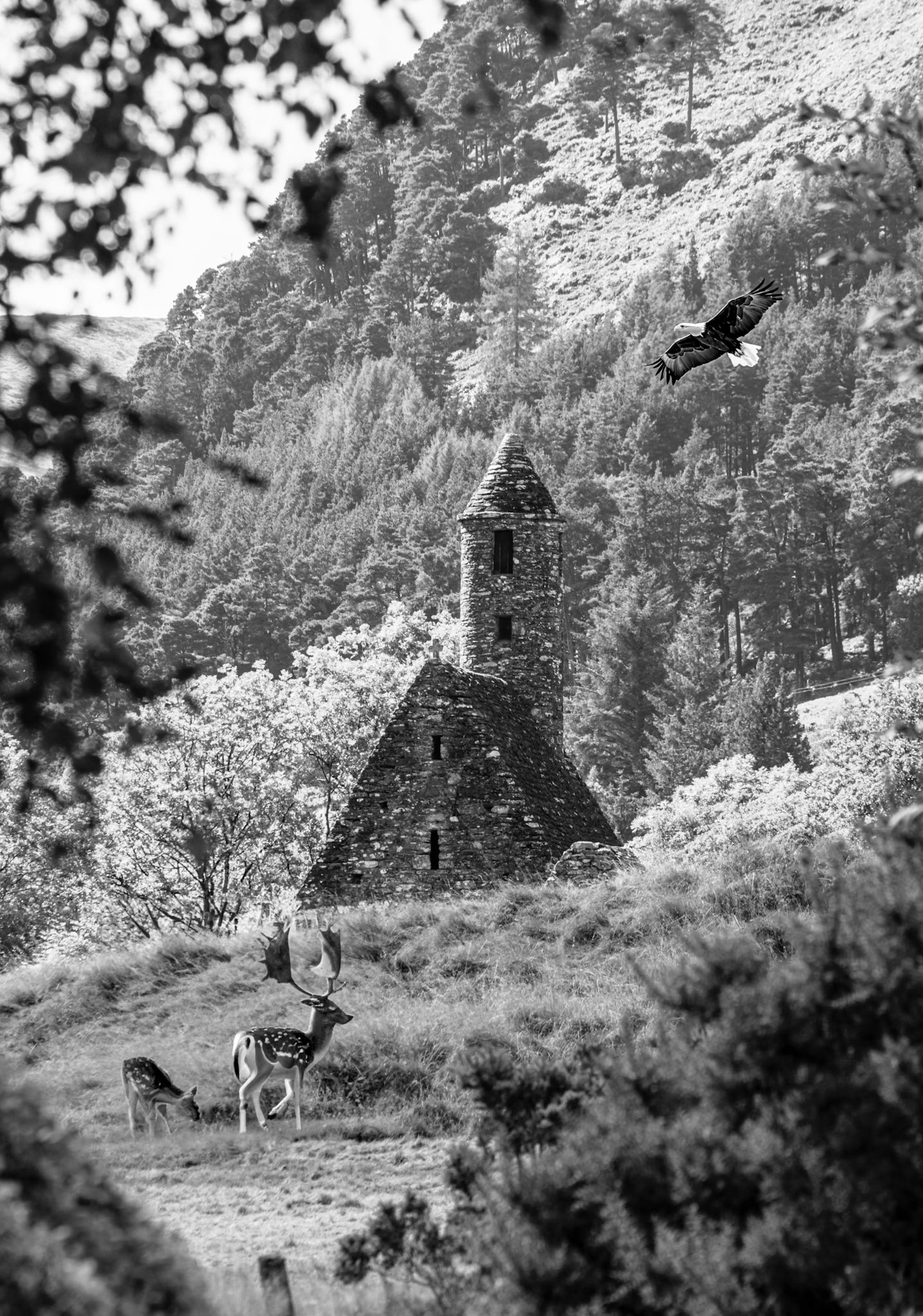 Finding the hidden stories, dramatic lines, and quiet moods that emerge when the world is reduced to monochrome.