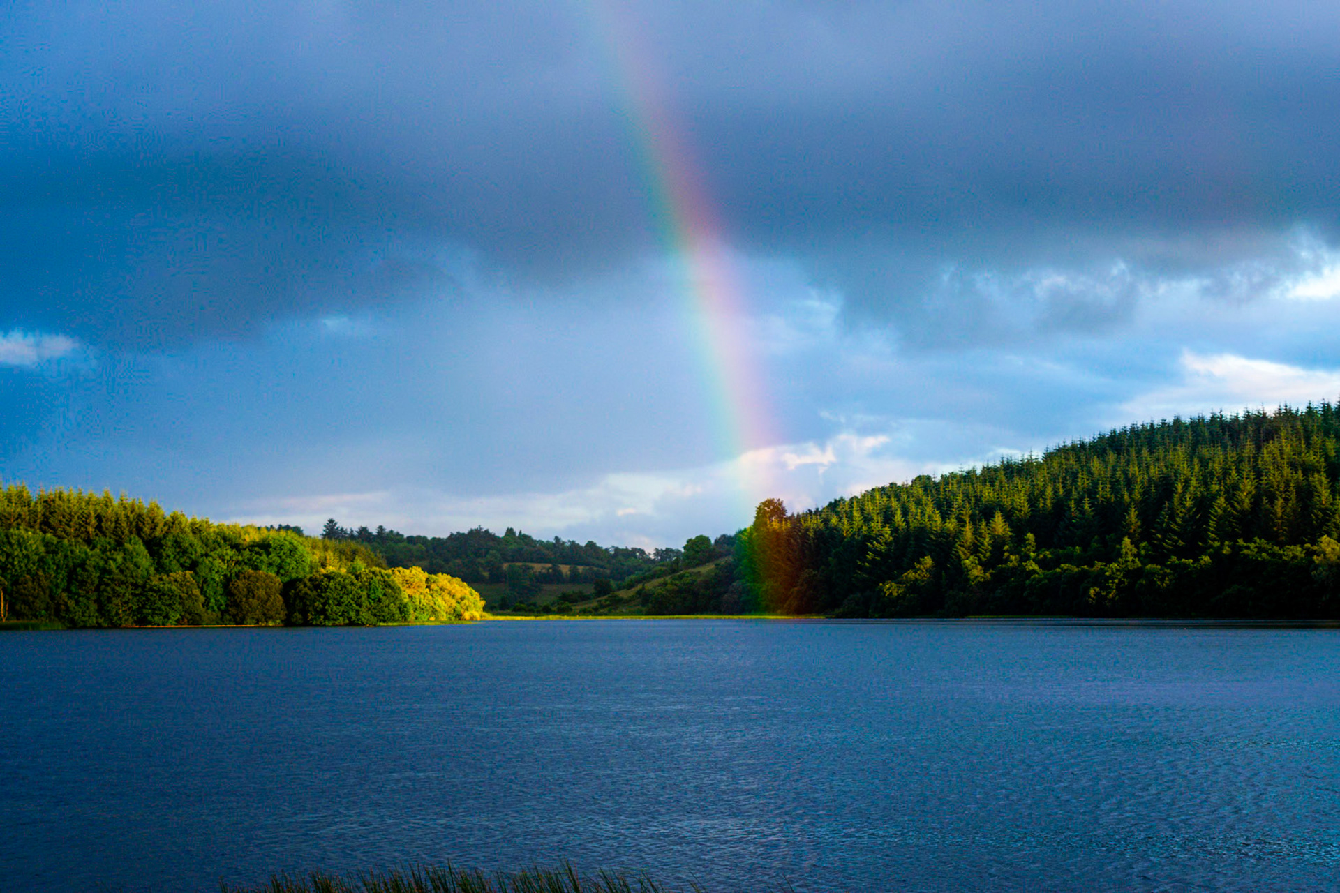 Watching the sun dip below the horizon over Ireland’s longest river, where the evening light turns the water into a mirror of gold.