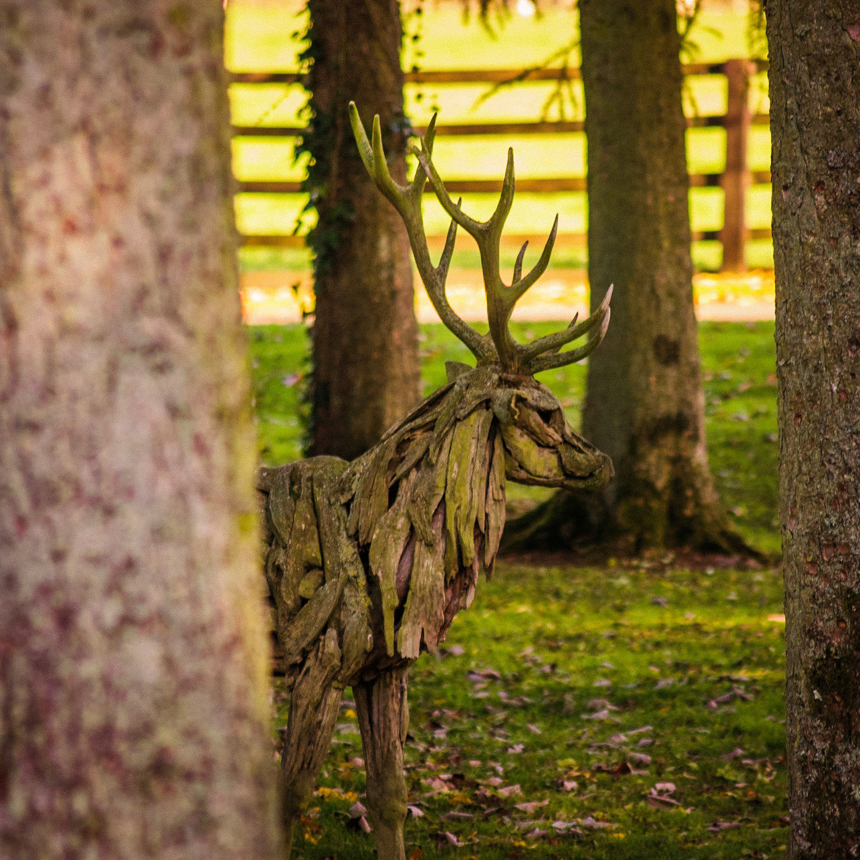 Documenting the peaceful estate grounds of the Irish National Stud, where world-class equine heritage meets the rolling green landscapes of Ireland's horse country.