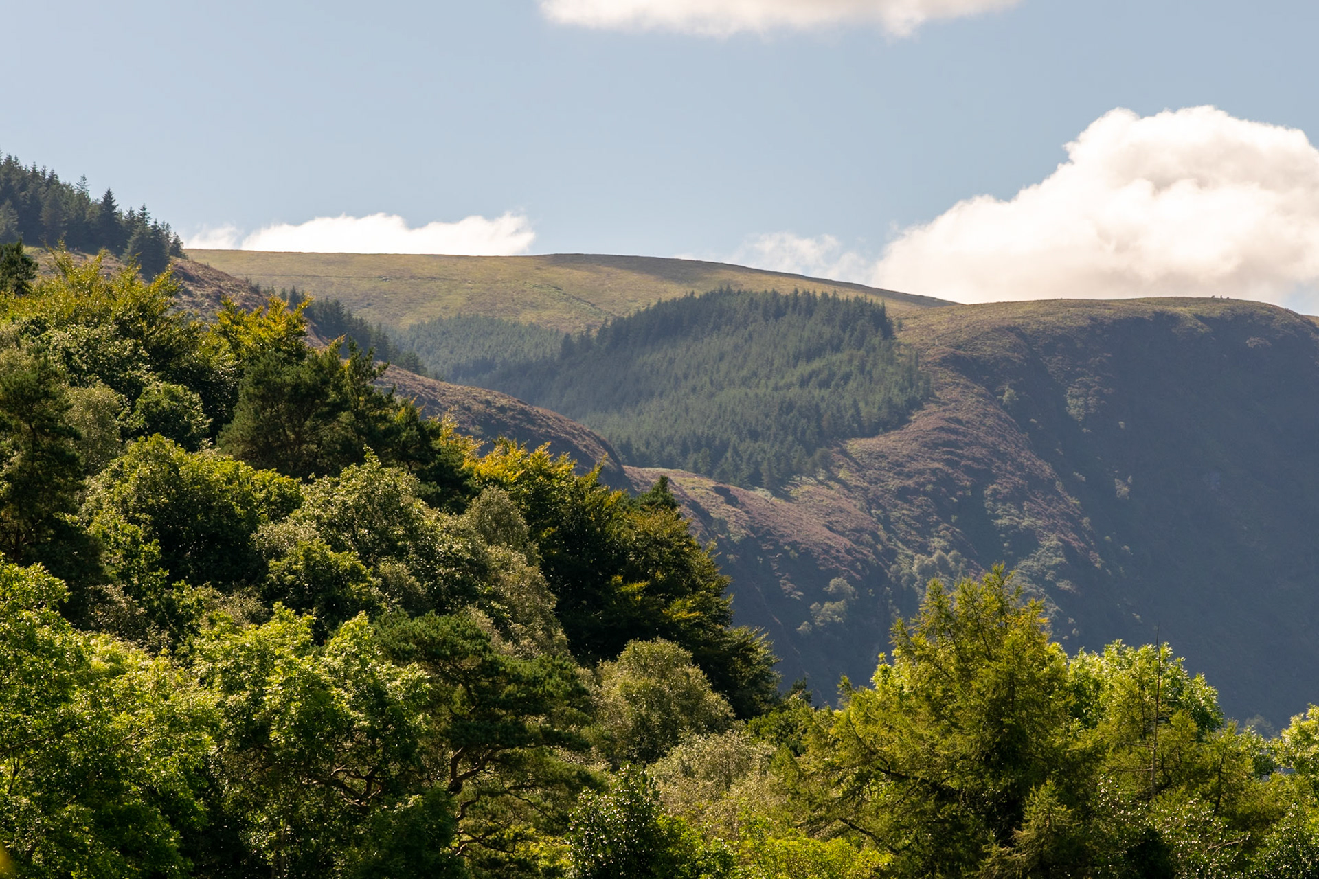 Wandering through the ancient, moss-covered ruins and weathered high crosses of Glendalough's 6th-century monastic city.